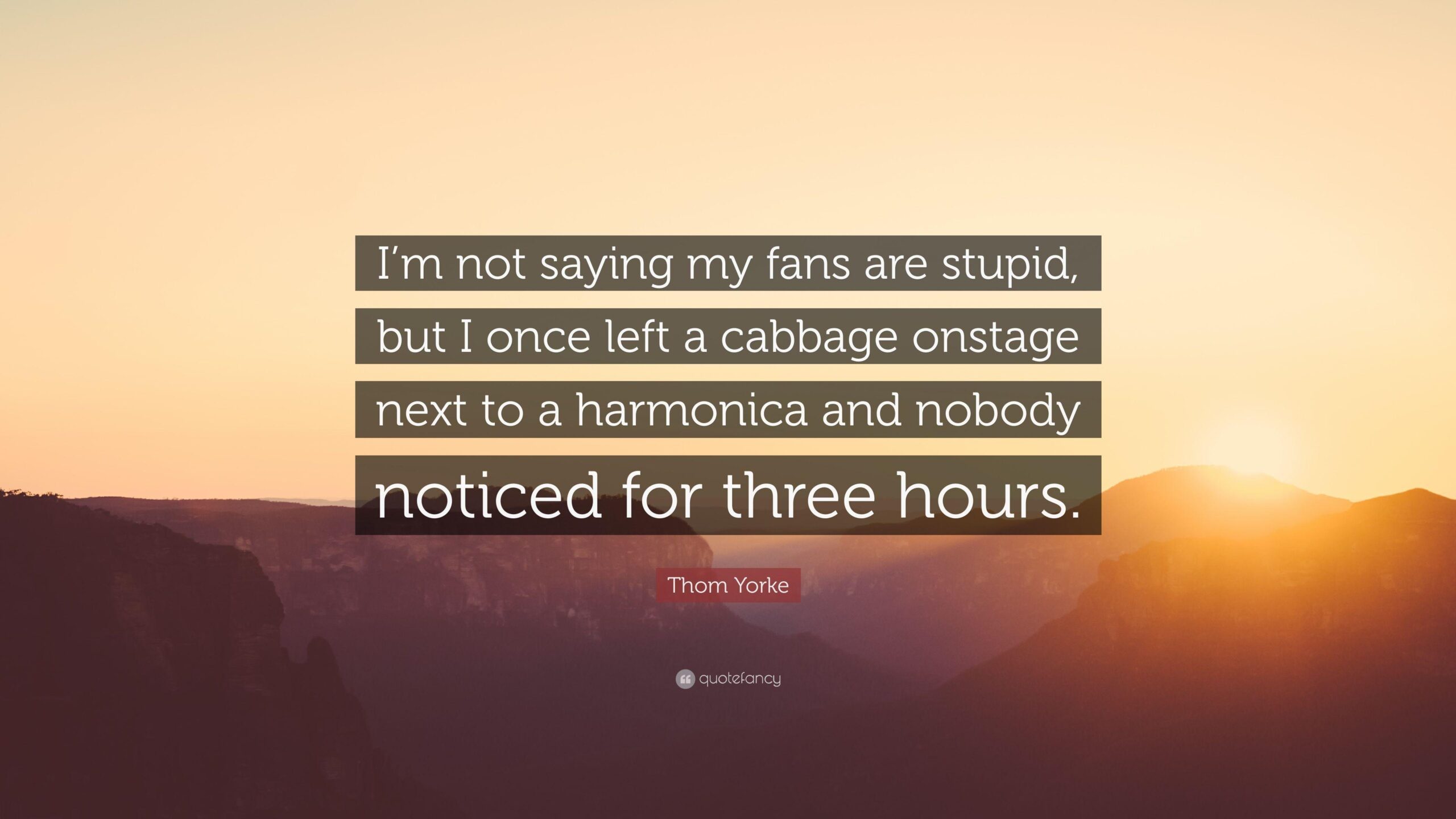 Thom Yorke Quote: “I’m not saying my fans are stupid, but I once