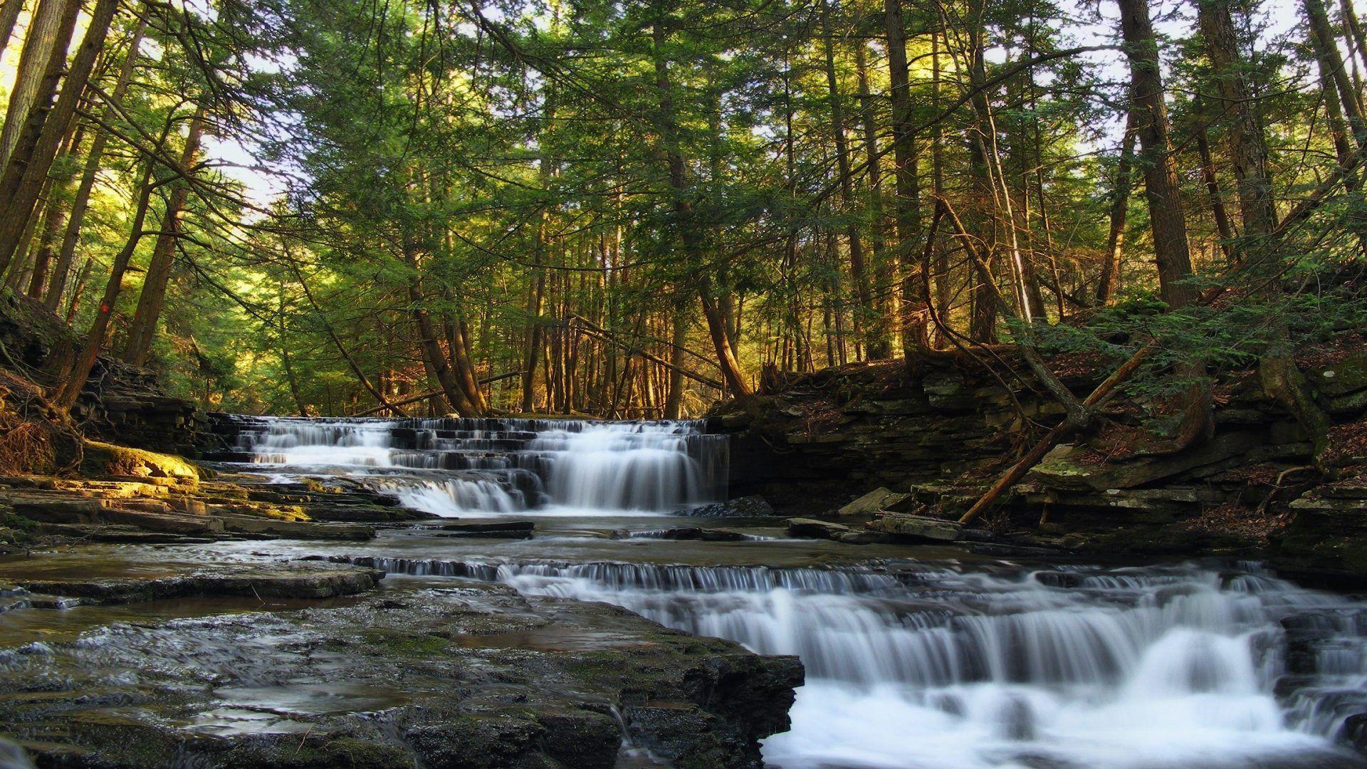 Pennsylvania Tag wallpapers: Forest Logan Usa Nature Run Falls