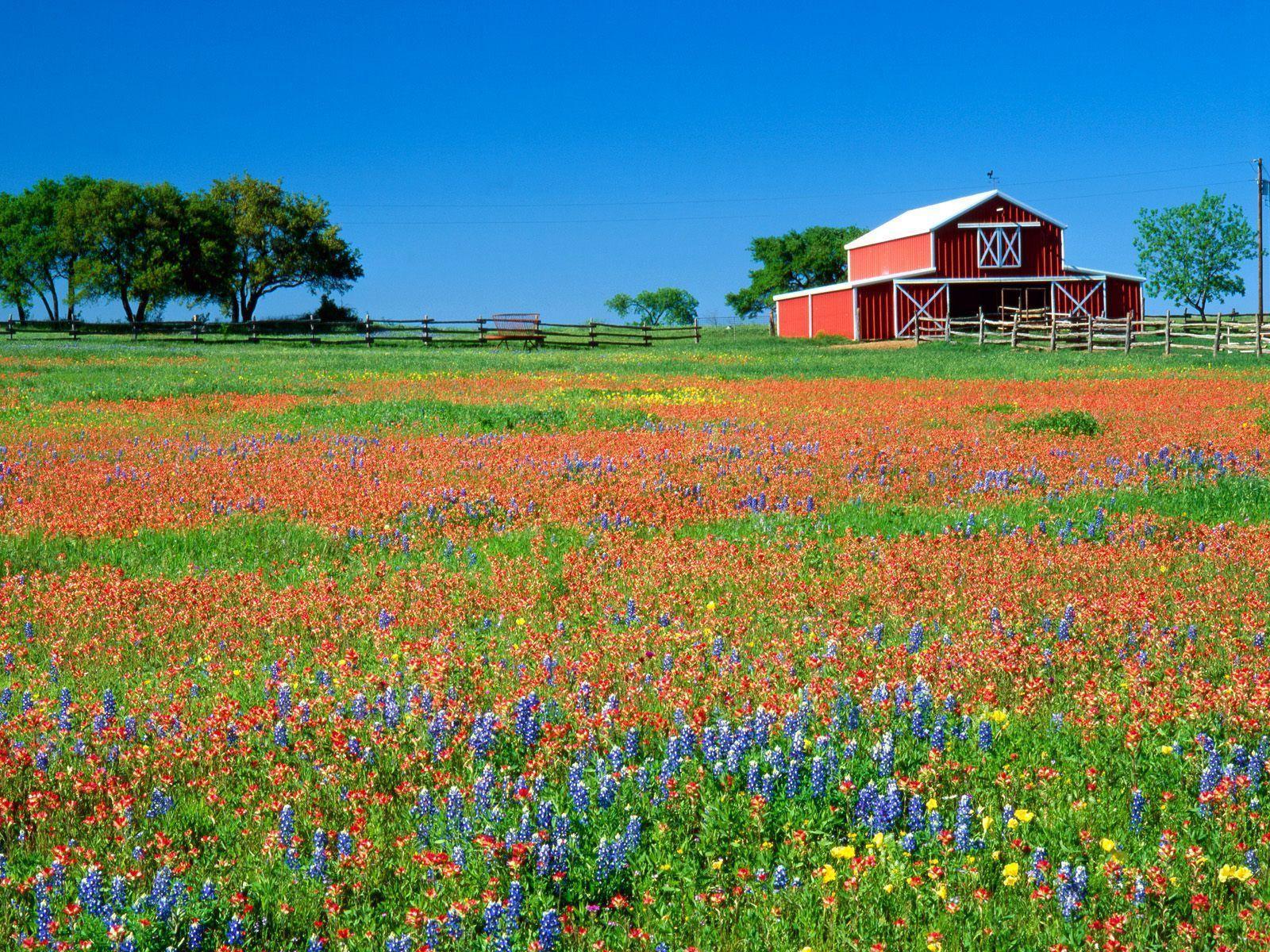 Texas Wallpapers HD