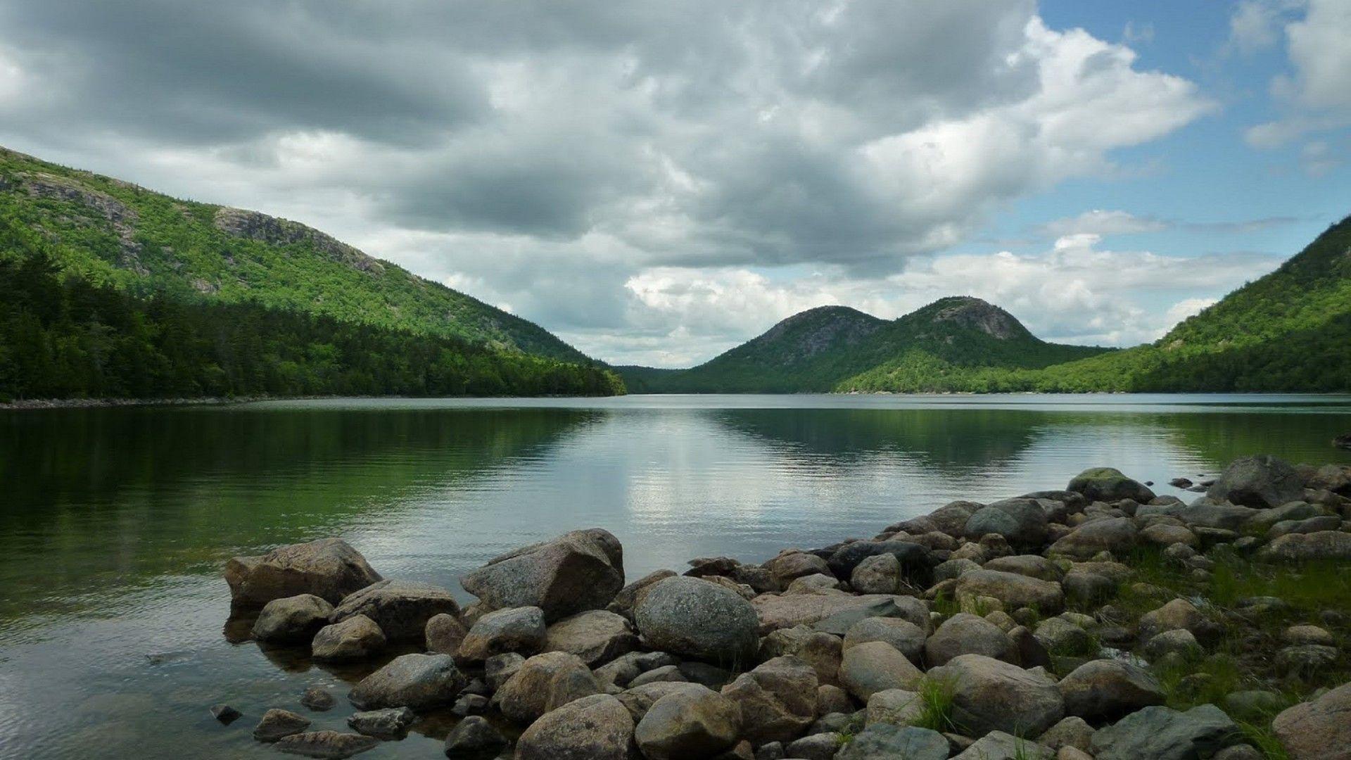 Acadia National Park Wildlife Wallpapers