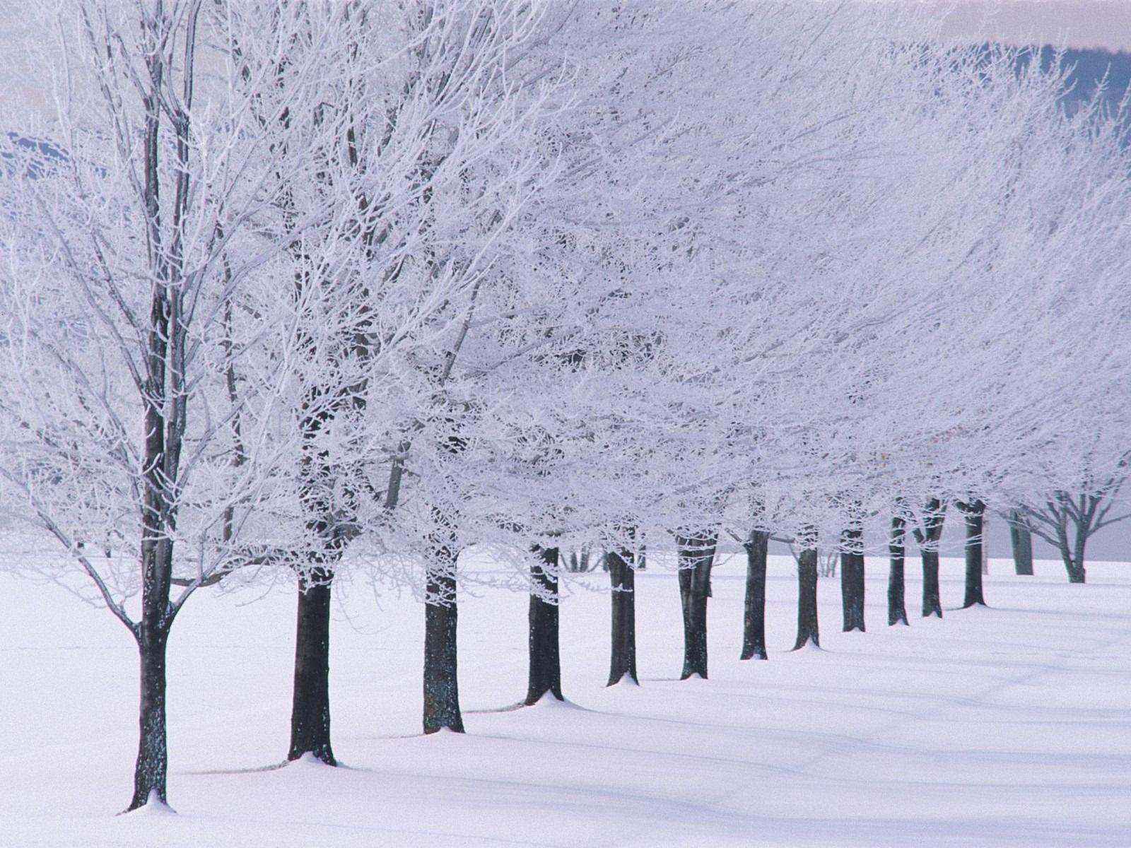 Winter HD Desktop Wallpapers