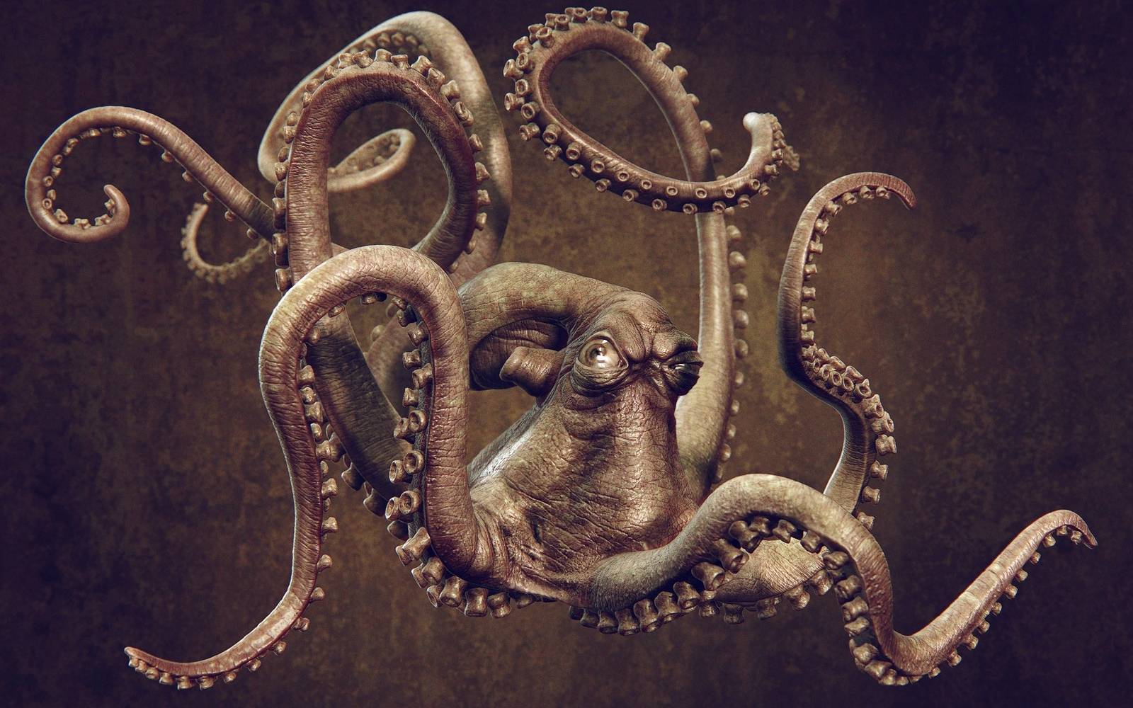 Octopus Wallpapers HD Download