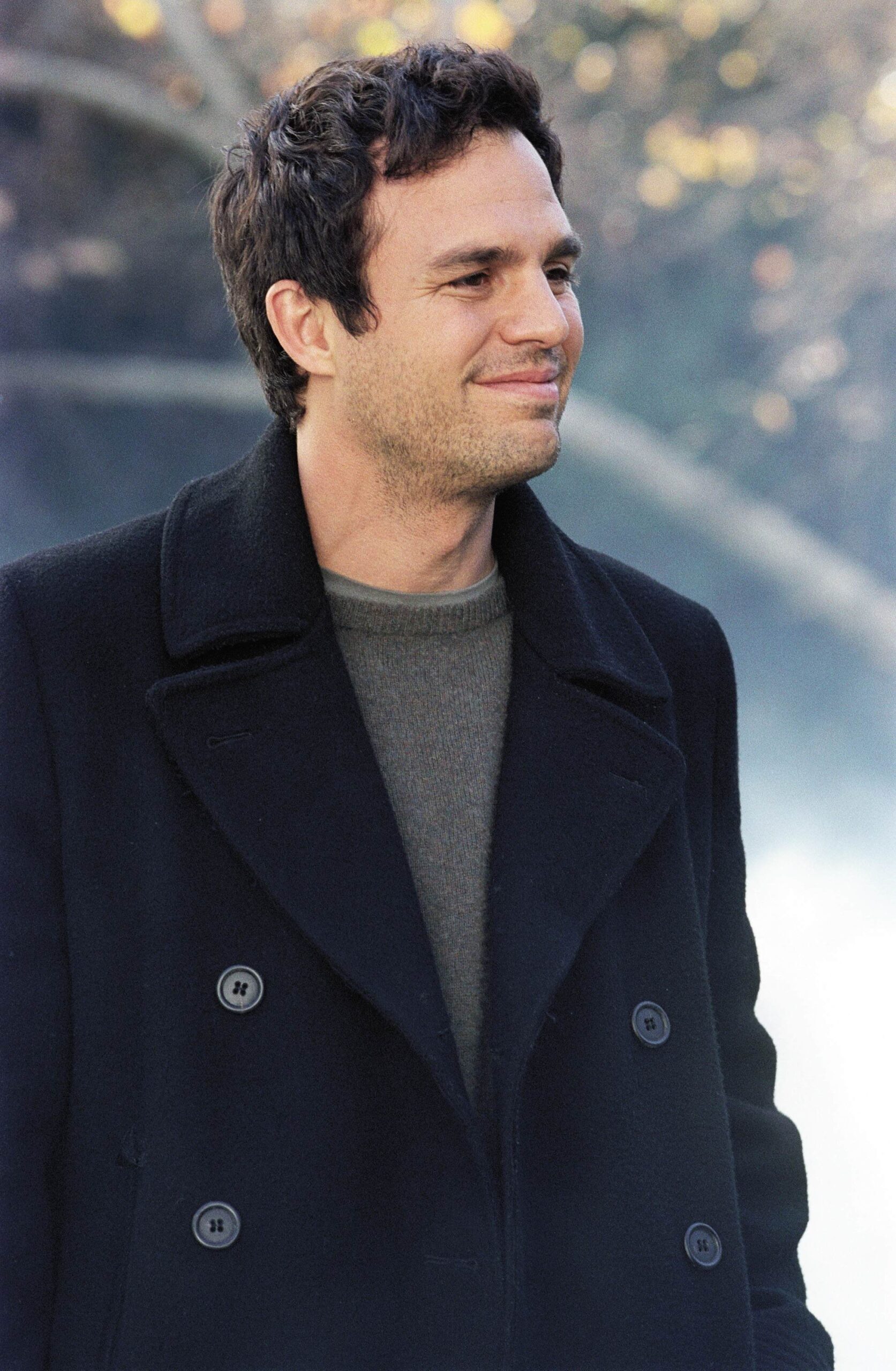 Mark Ruffalo photo 47 of 77 pics, wallpapers