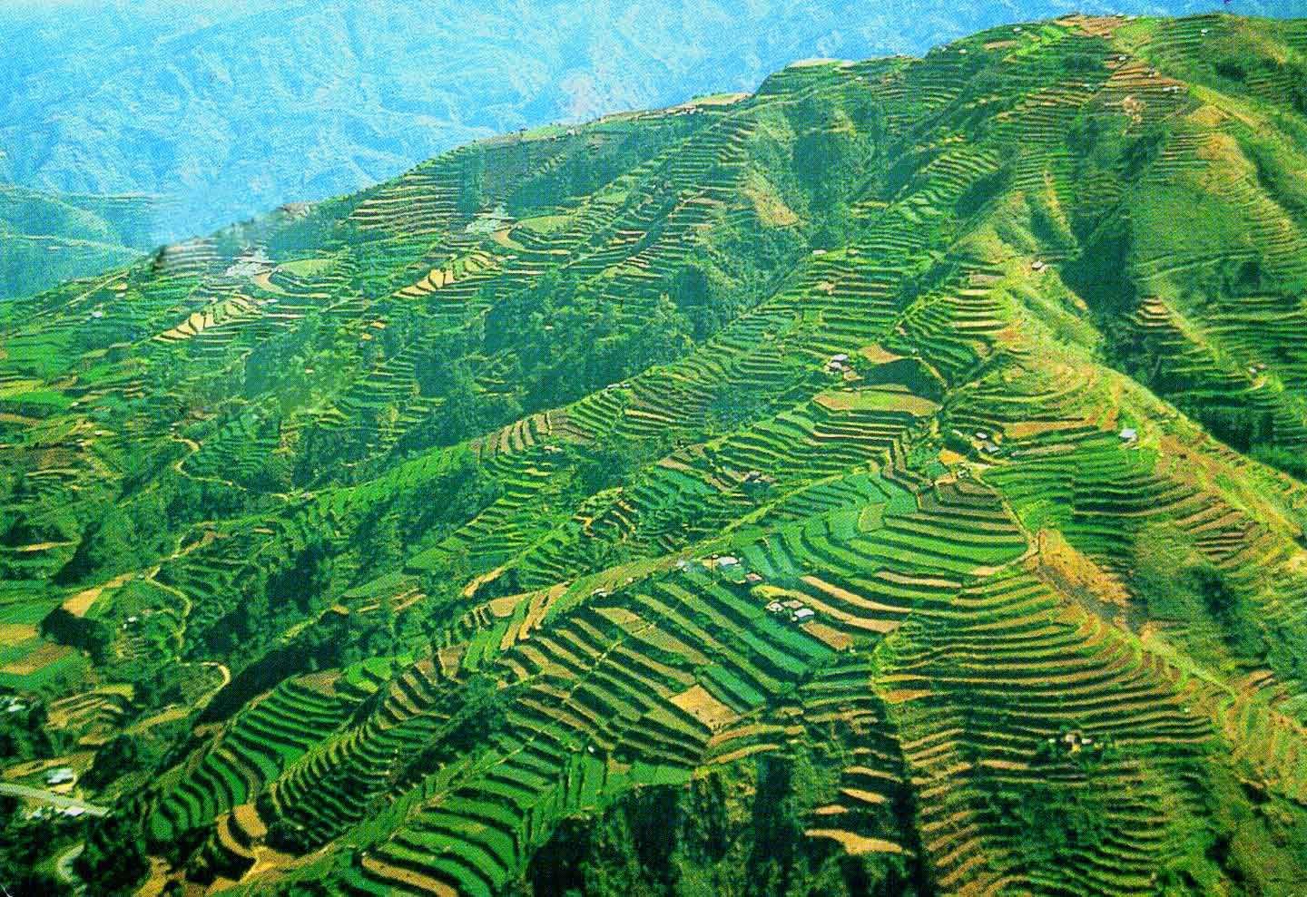 banaue rice terraces, Philippines