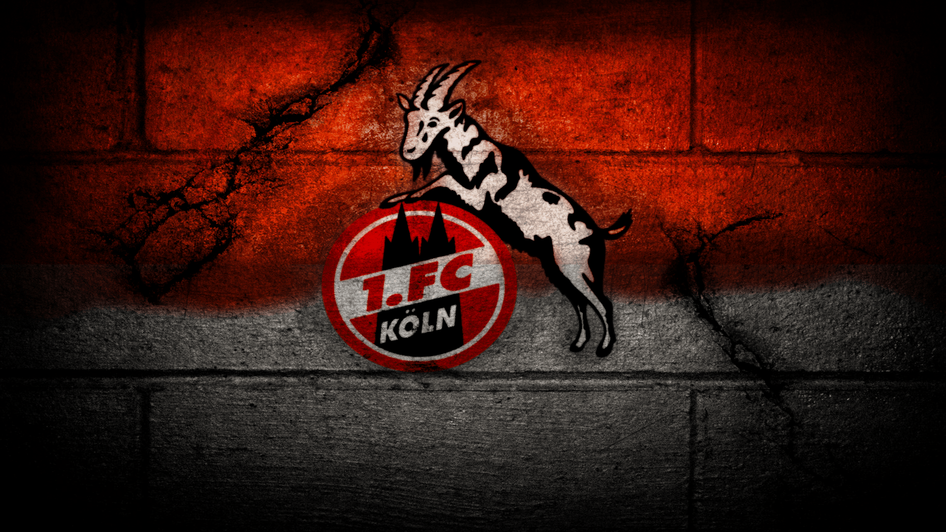 Download FC Cologne Logo Wallpapers Sport HD Picture Free Download