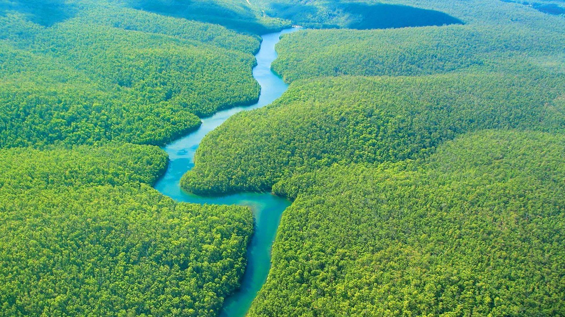 Inspiring Amazon River Wallpapers