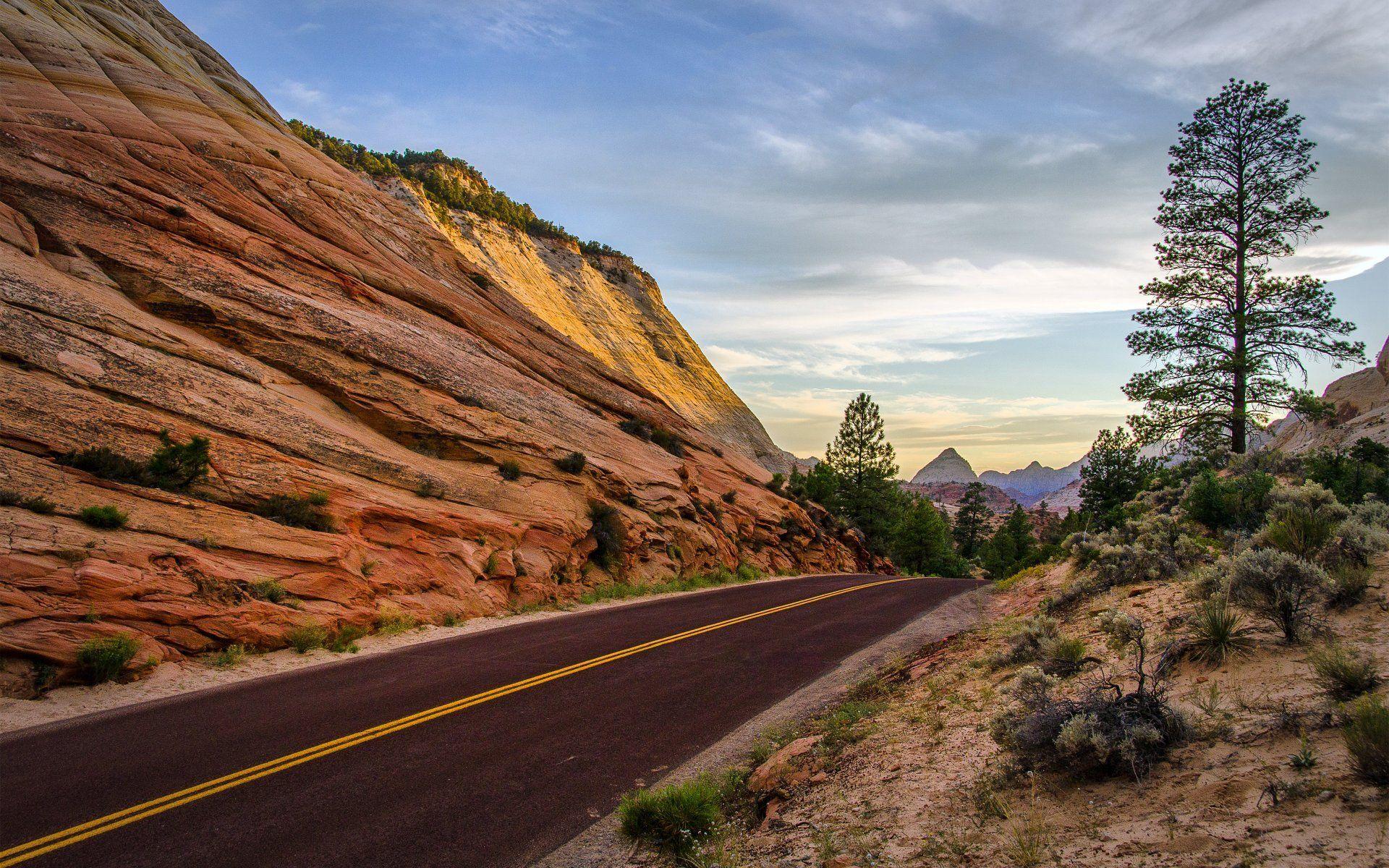 leaving zion national park utah. summer rock road tree mountain HD