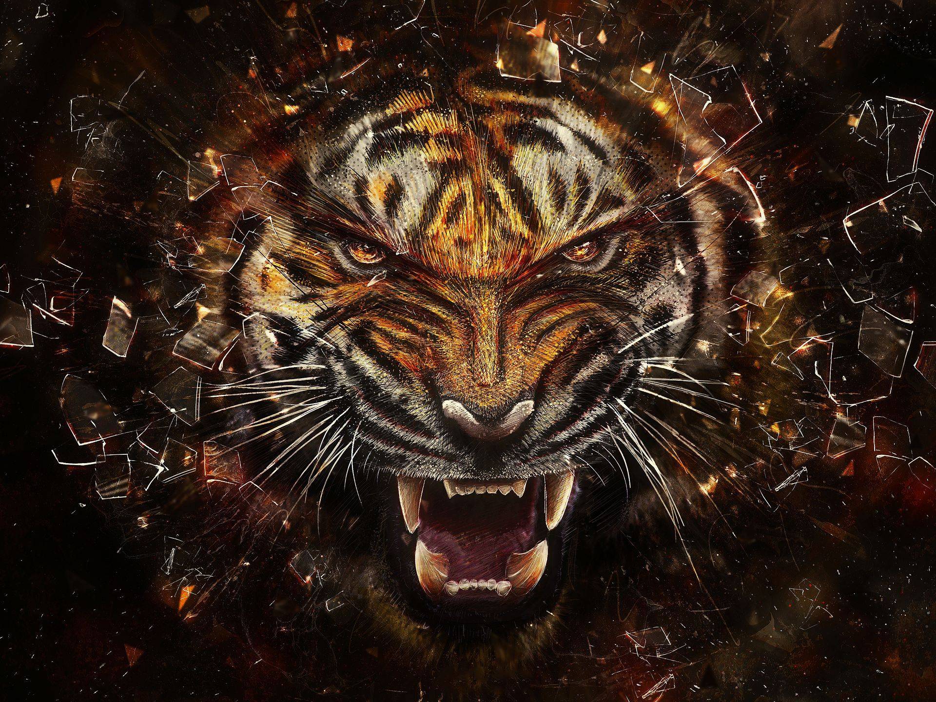 981 Tiger Wallpapers