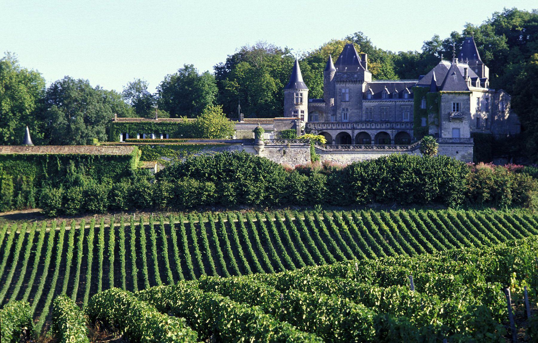 Vineyards in Bordeaux, France wallpapers and image