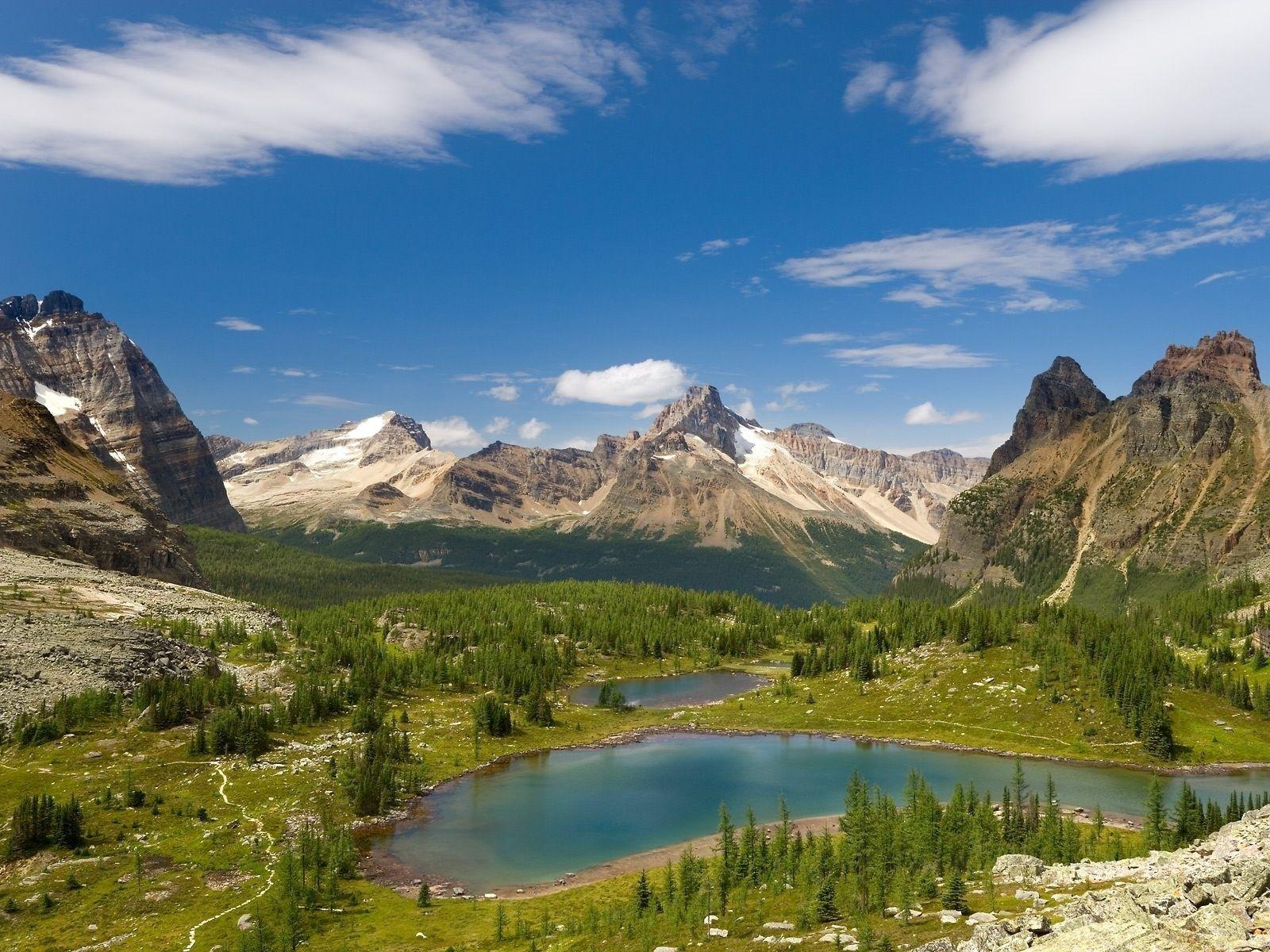 Cliff lake, Idaho, Mountains, Flowers, Trees wallpapers and backgrounds