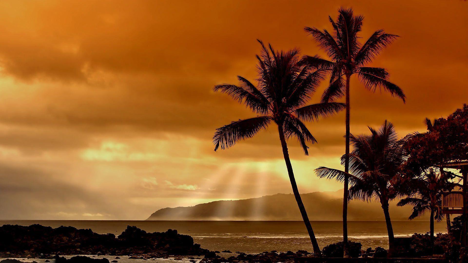 Hawaiian Sunset HD Wallpapers