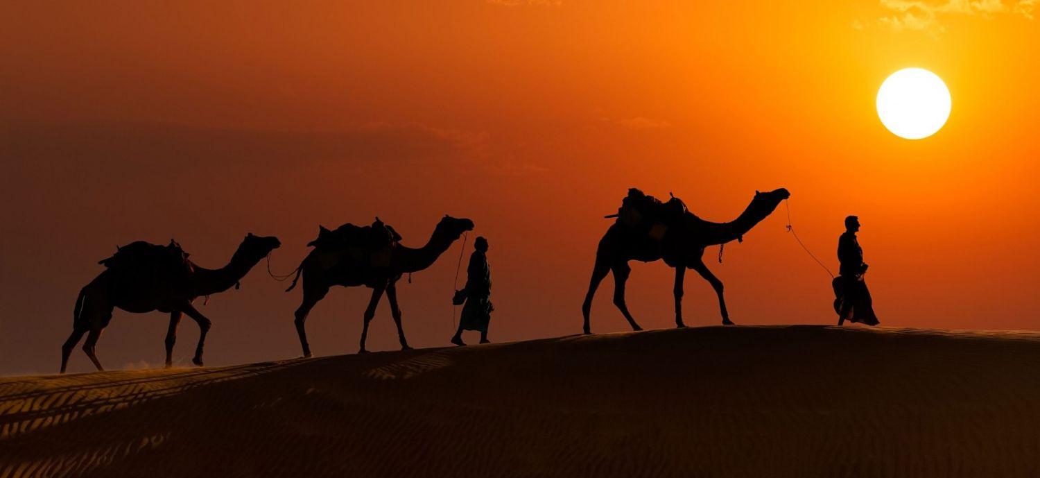 Jaisalmer Camel Safari: A Travelers Guide