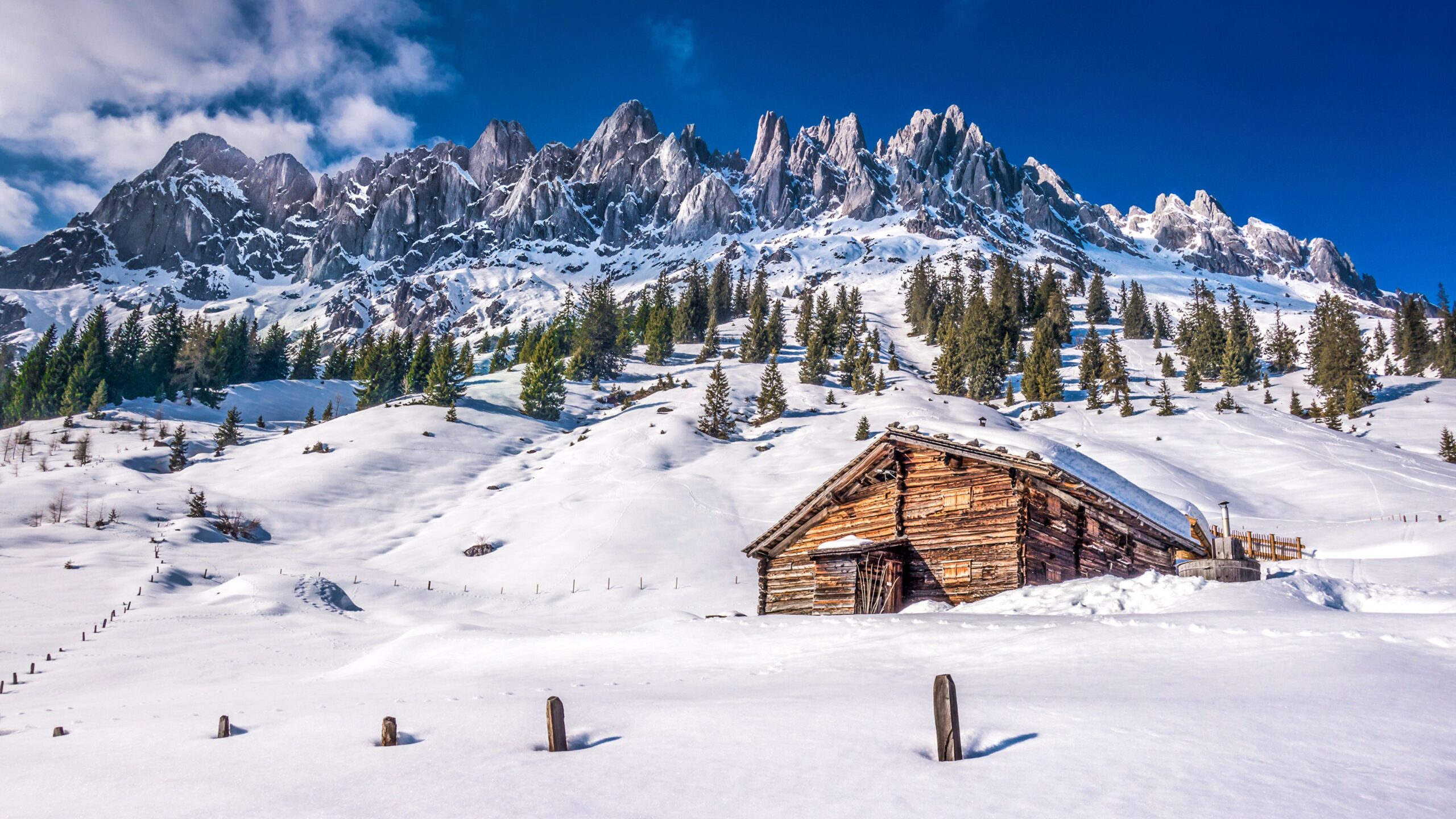 Photo Lassen Volcanic National Park Spruce Winter Nature