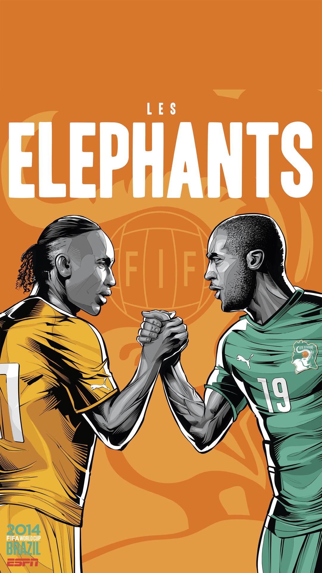 Brazil World Cup 2014 Ivory Coast