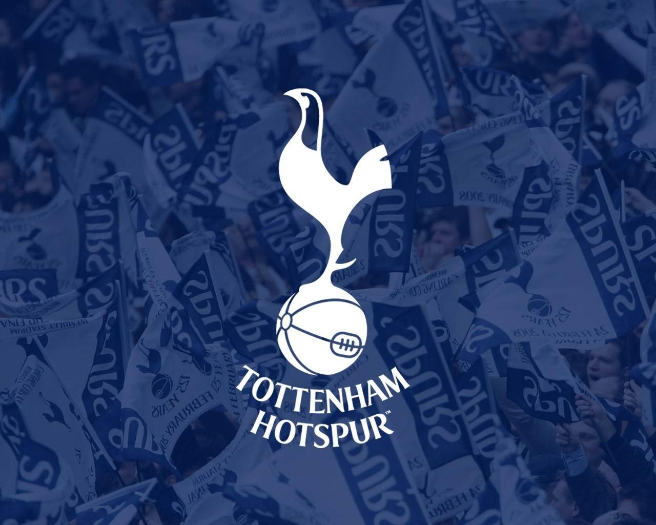 Tottenham Hotspur Wallpapers 2013