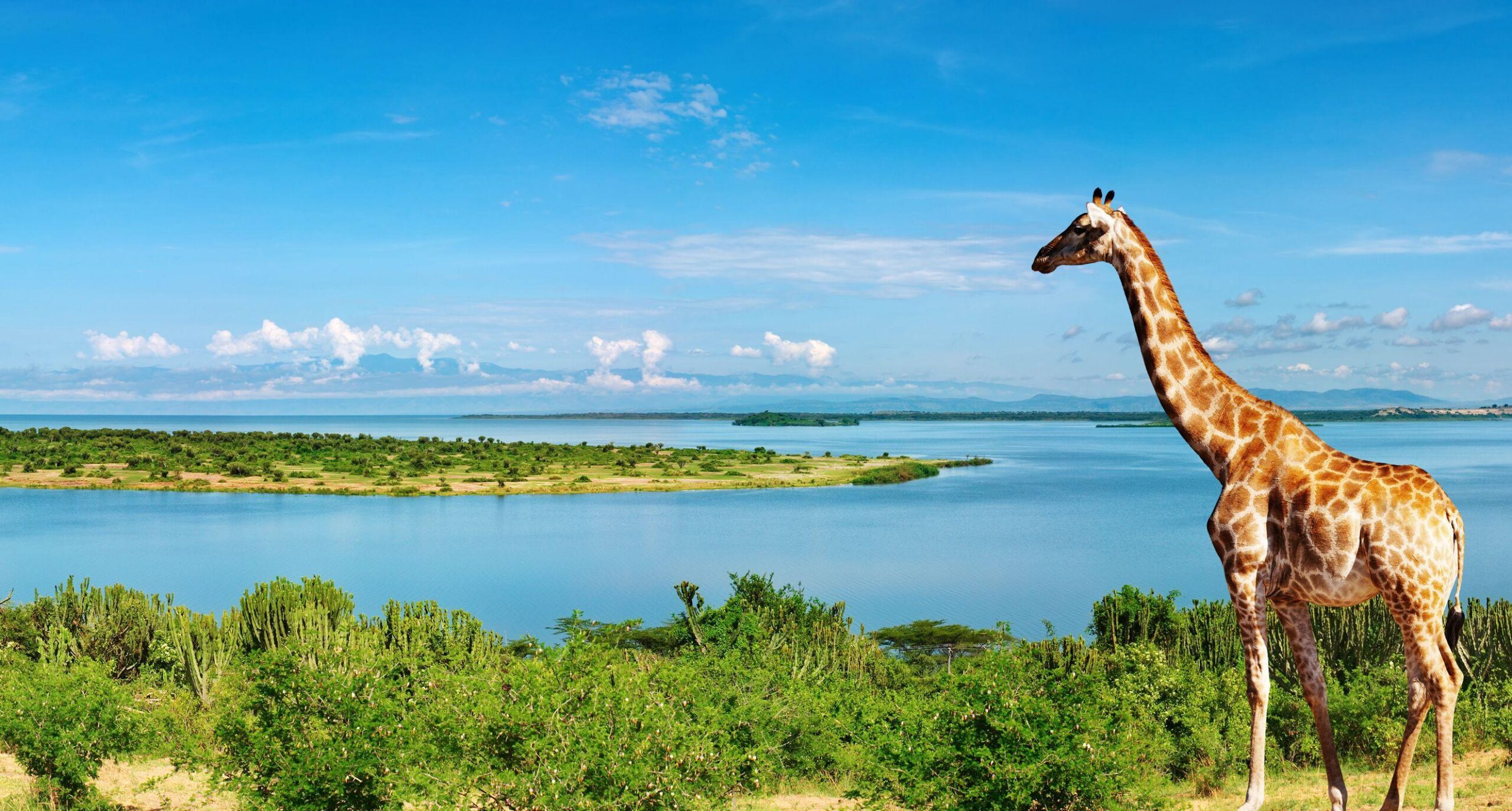 Nile River Uganda, Africa Full HD Wallpapers and Backgrounds