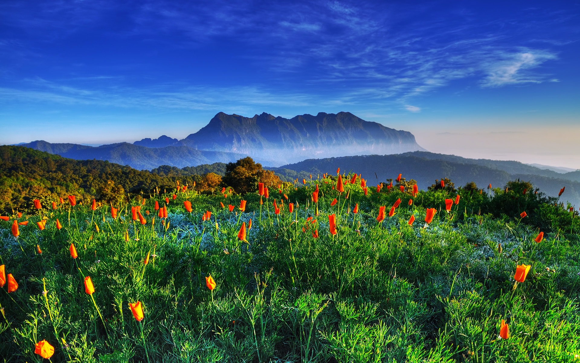 Wallpapers Chiang Mai, Thailand, Chiang Dao Mountain, wildlife