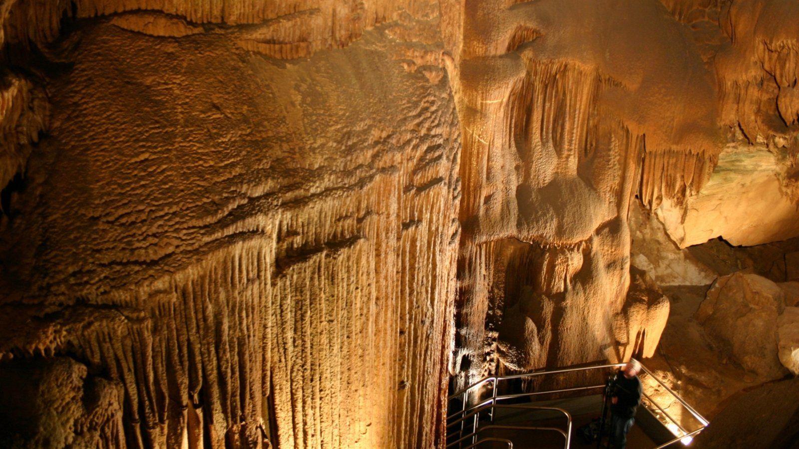 Mammoth Cave National Park Pictures: View Photos & Image of