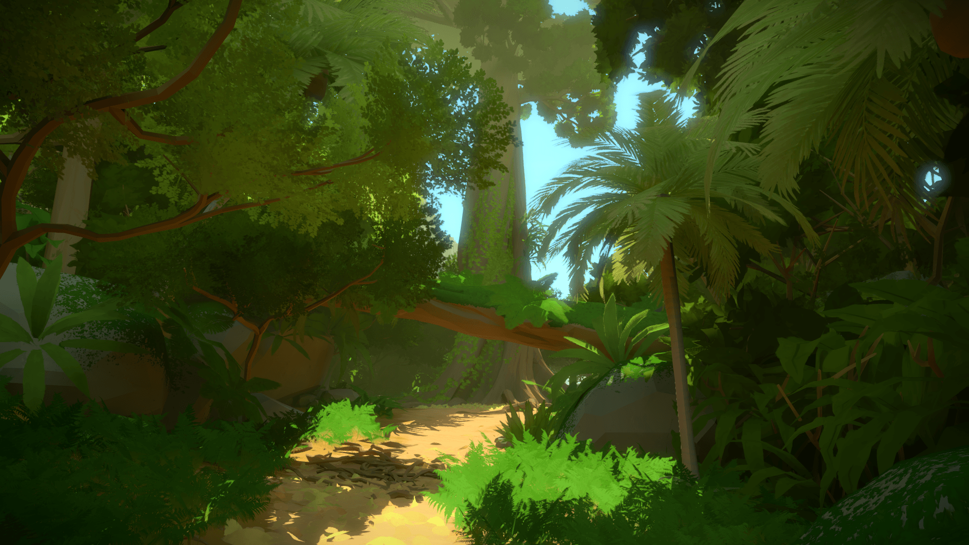 The Witness Wallpapers 44766 px