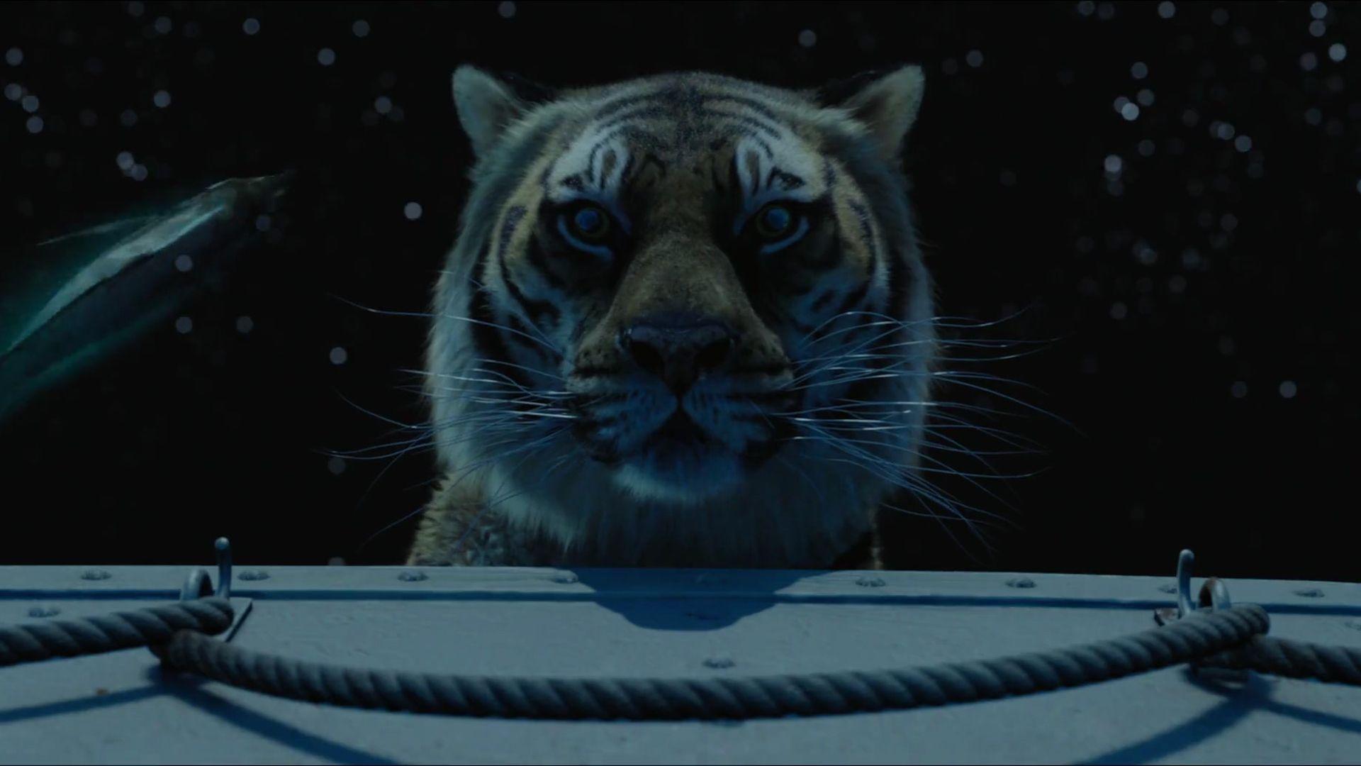 Life of Pi Full HD Wallpapers and Backgrounds