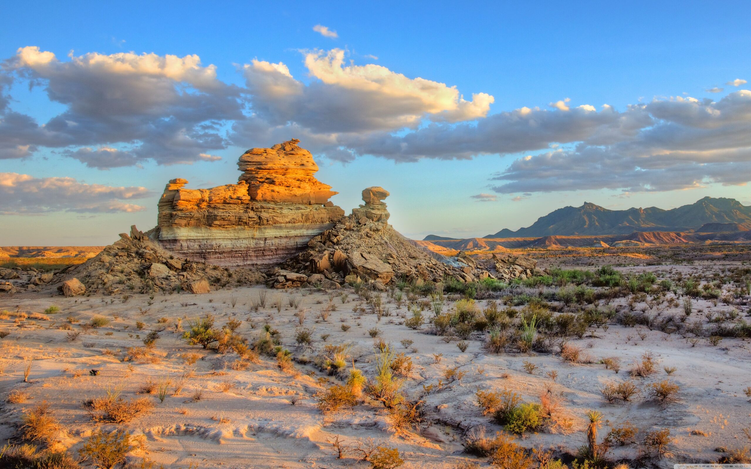 Big Bend National Park