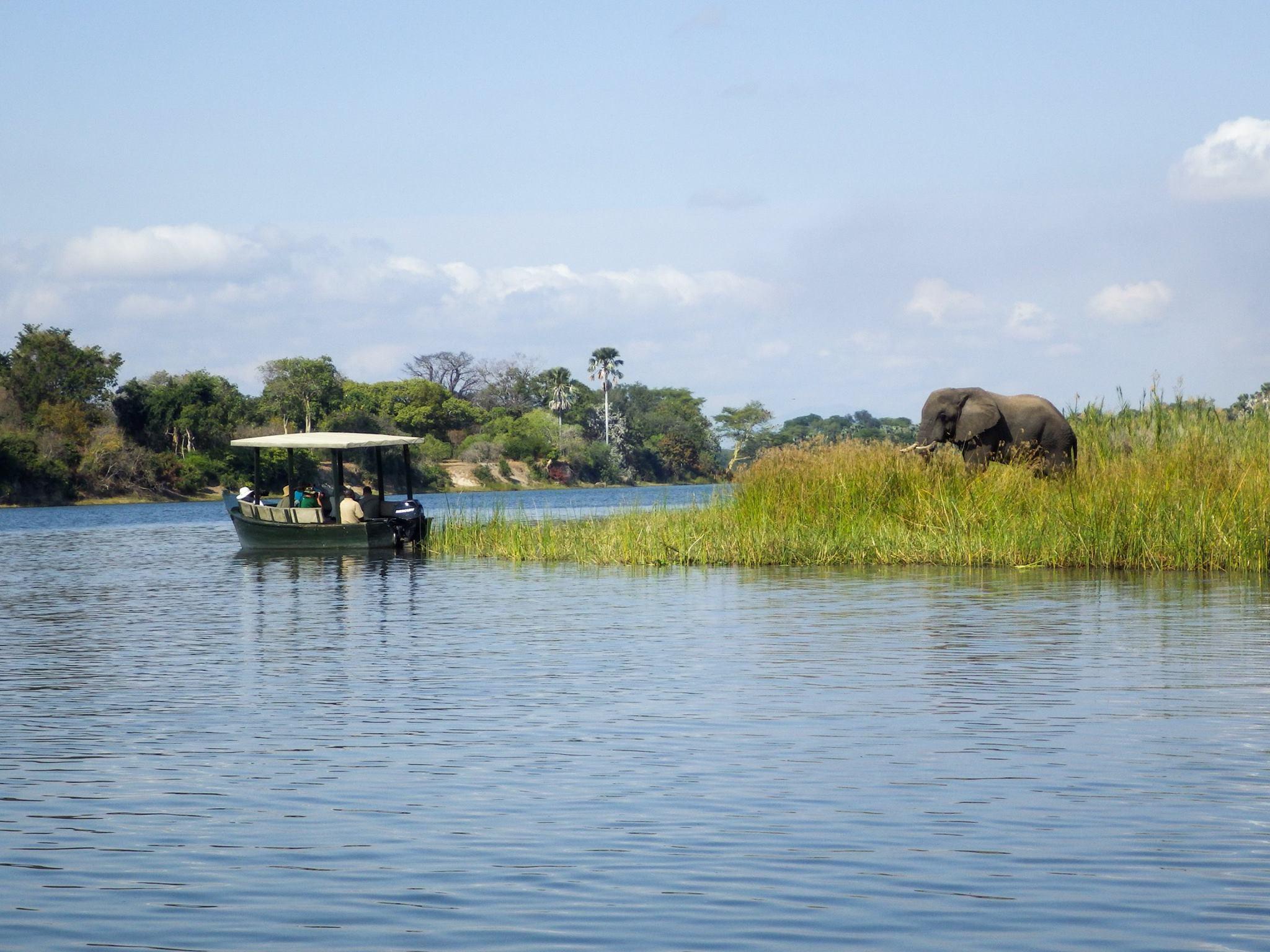 Central African Wilderness Safaris – Travel, Safaris and Holidays in