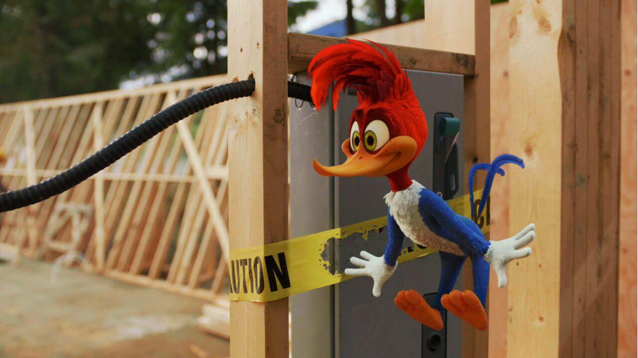 Woody Woodpecker Wallpapers ,free download,