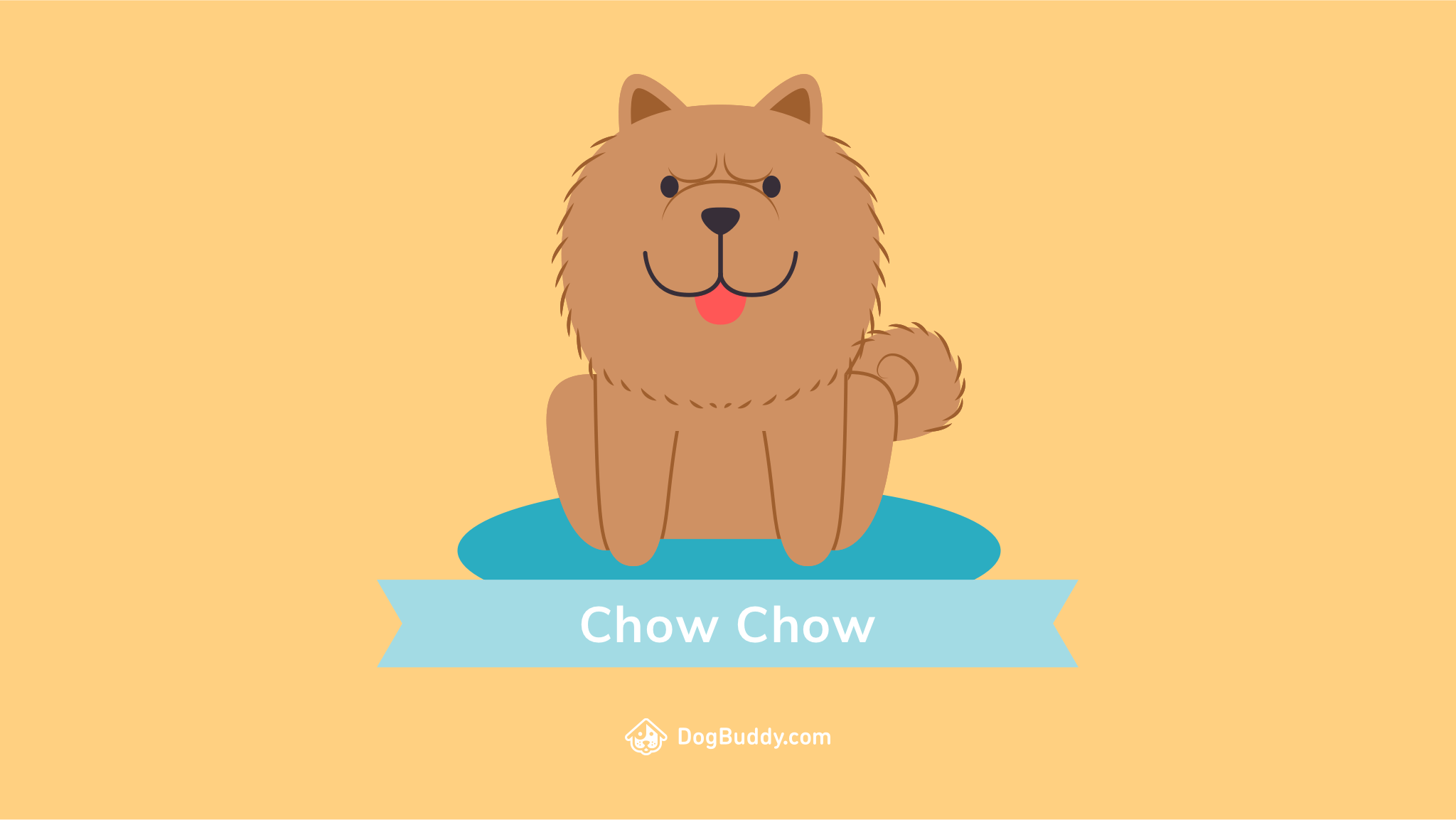 1240295 Chow Chow Wallpapers and Backgrounds