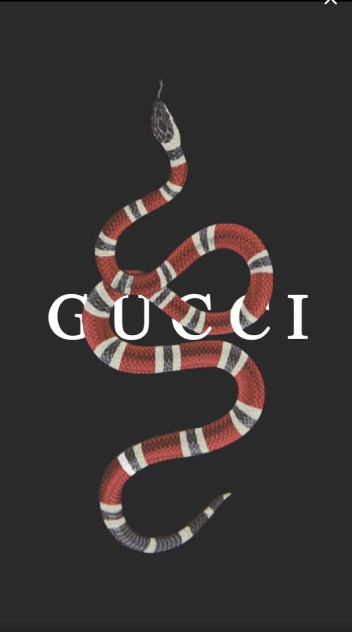 Gucci Iphone