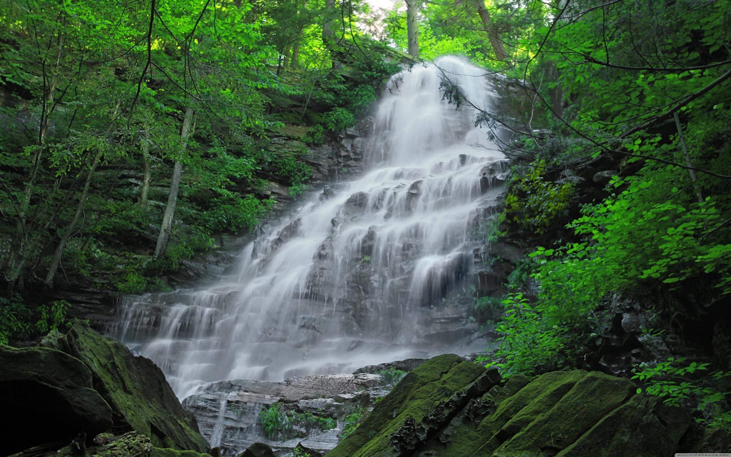 Angel Falls ❤ 4K HD Desktop Wallpapers for 4K Ultra HD TV • Dual