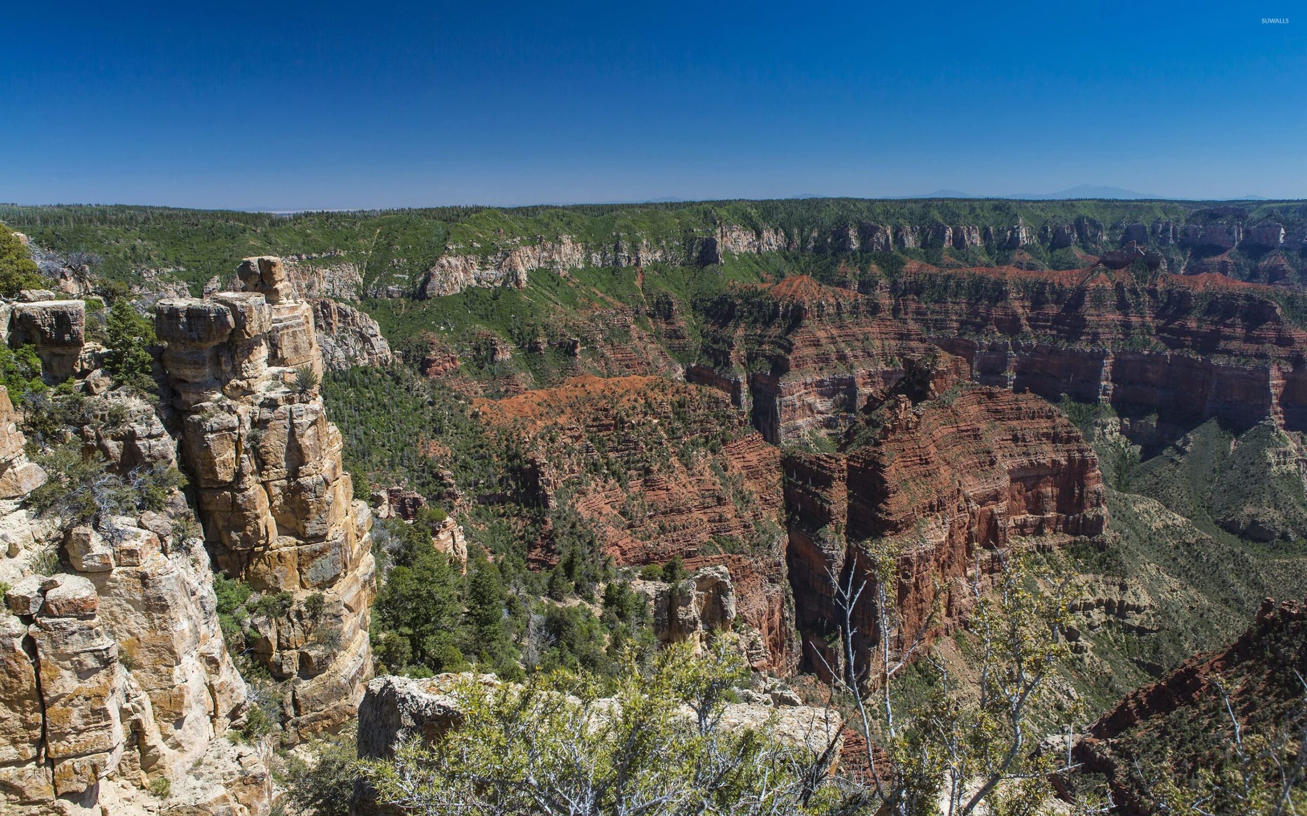 Top view of Bryce Canyon National Park wallpapers