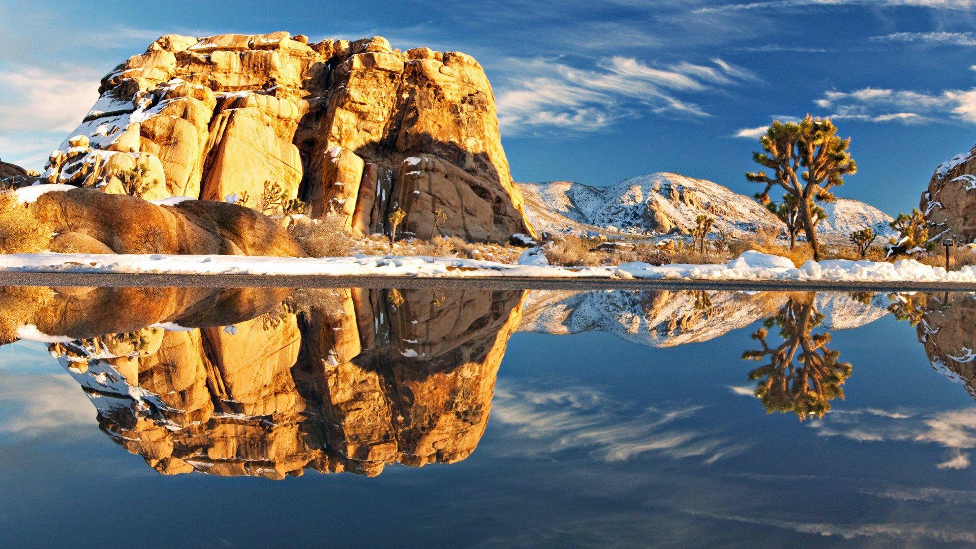 Backgrounds Joshua Tree National Park Afari On Hd Photos High