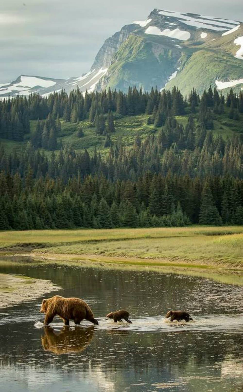 Lake Clark National Park and Preserve is a United States National