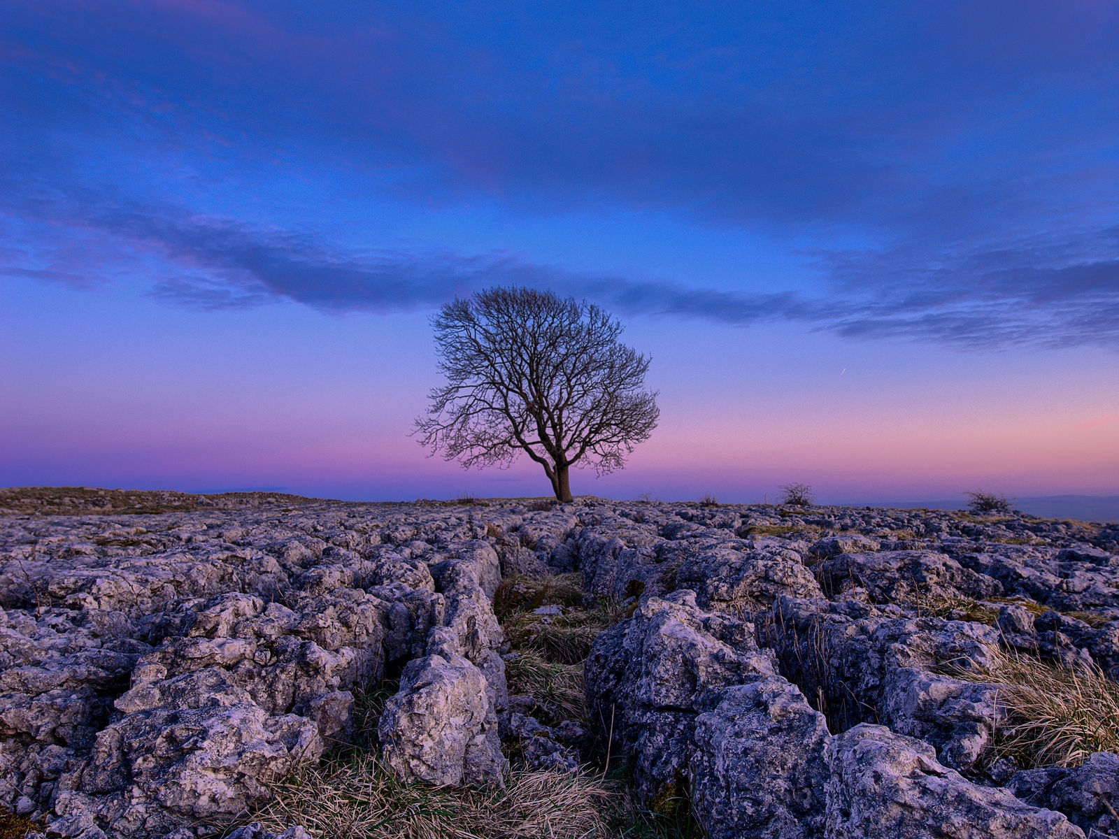 Download wallpapers tree, dawn, stones, sky standard 4:3 hd