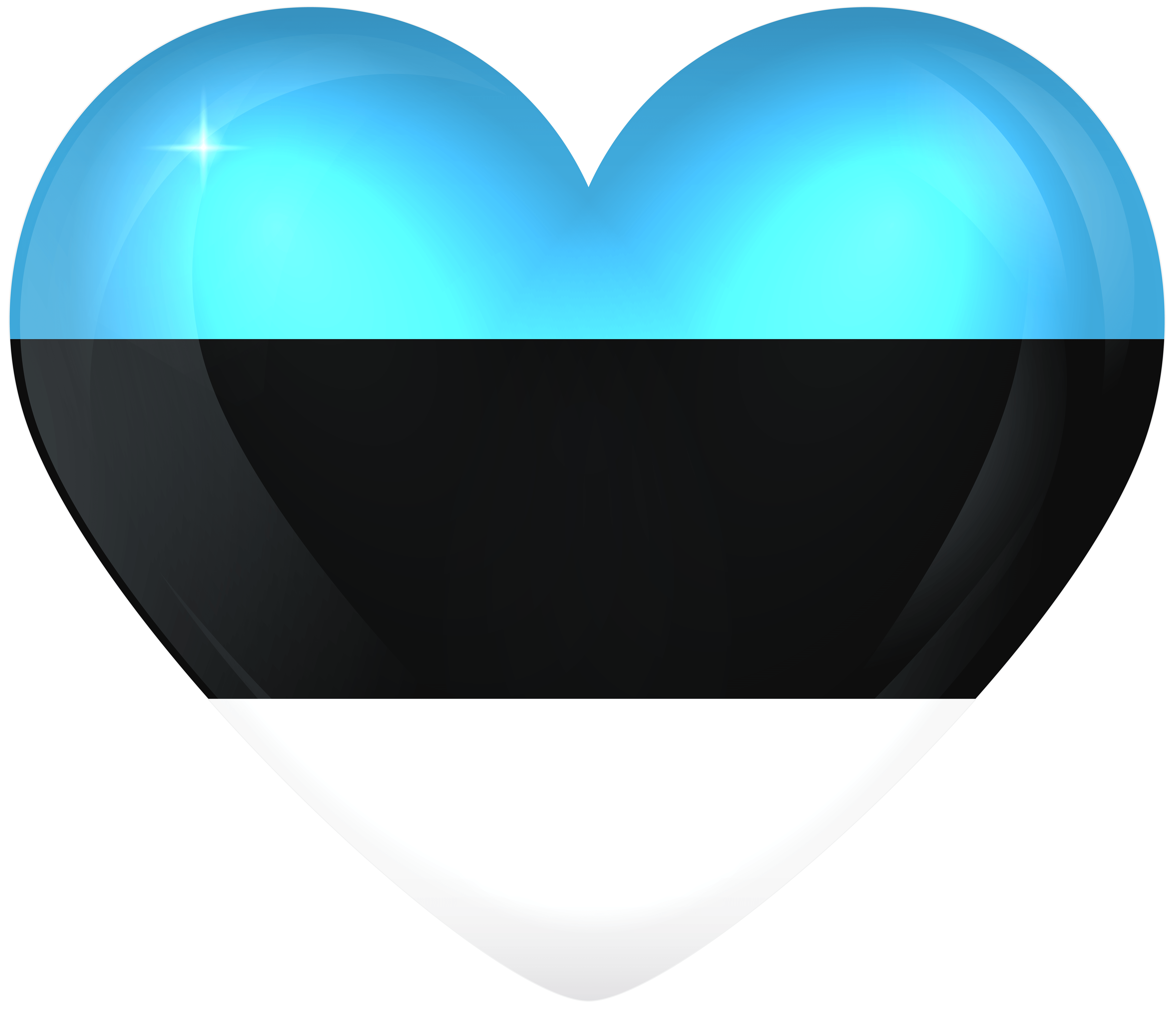 Estonia Large Heart Flag