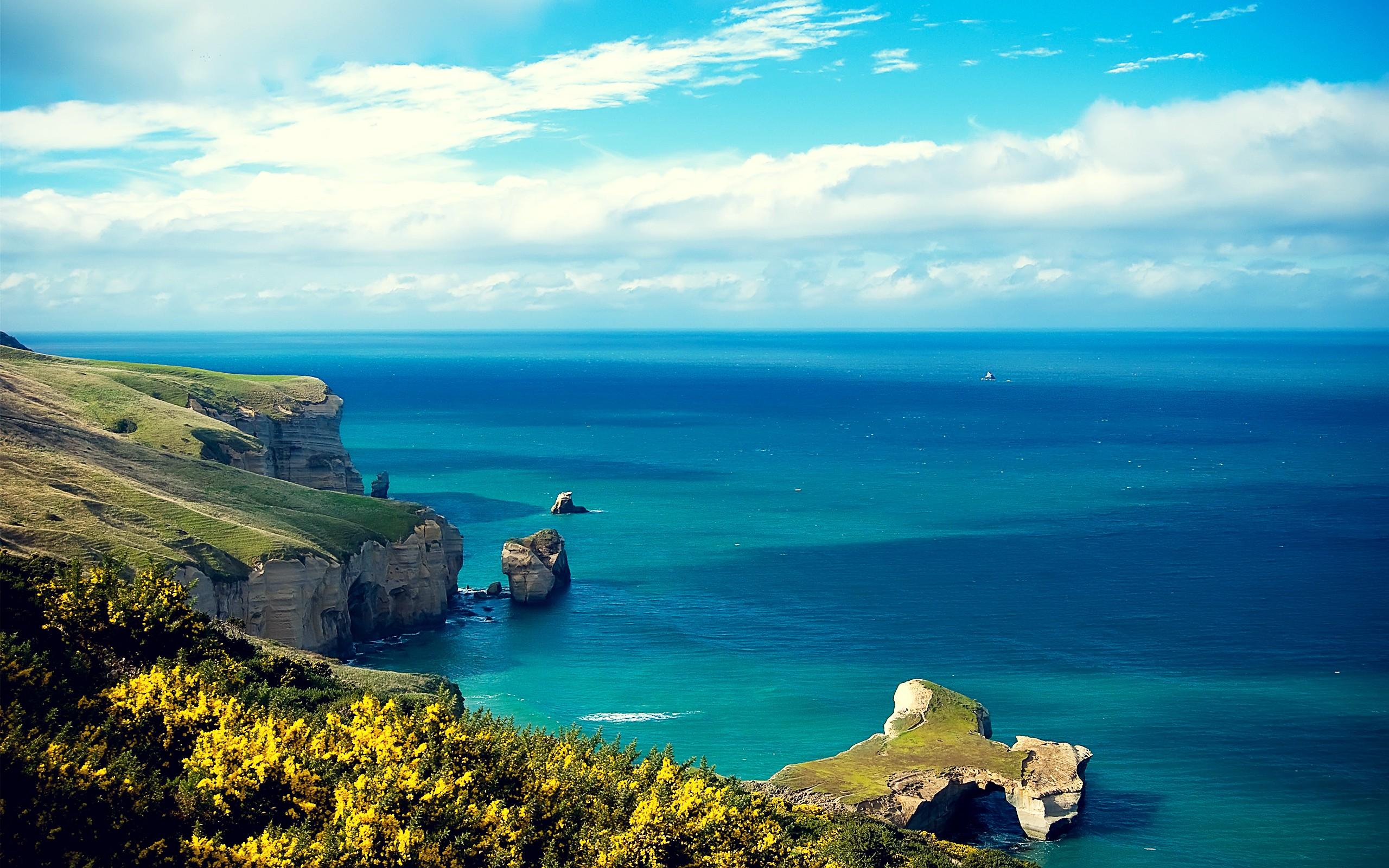 Daily Wallpaper: Shores of New Zealand