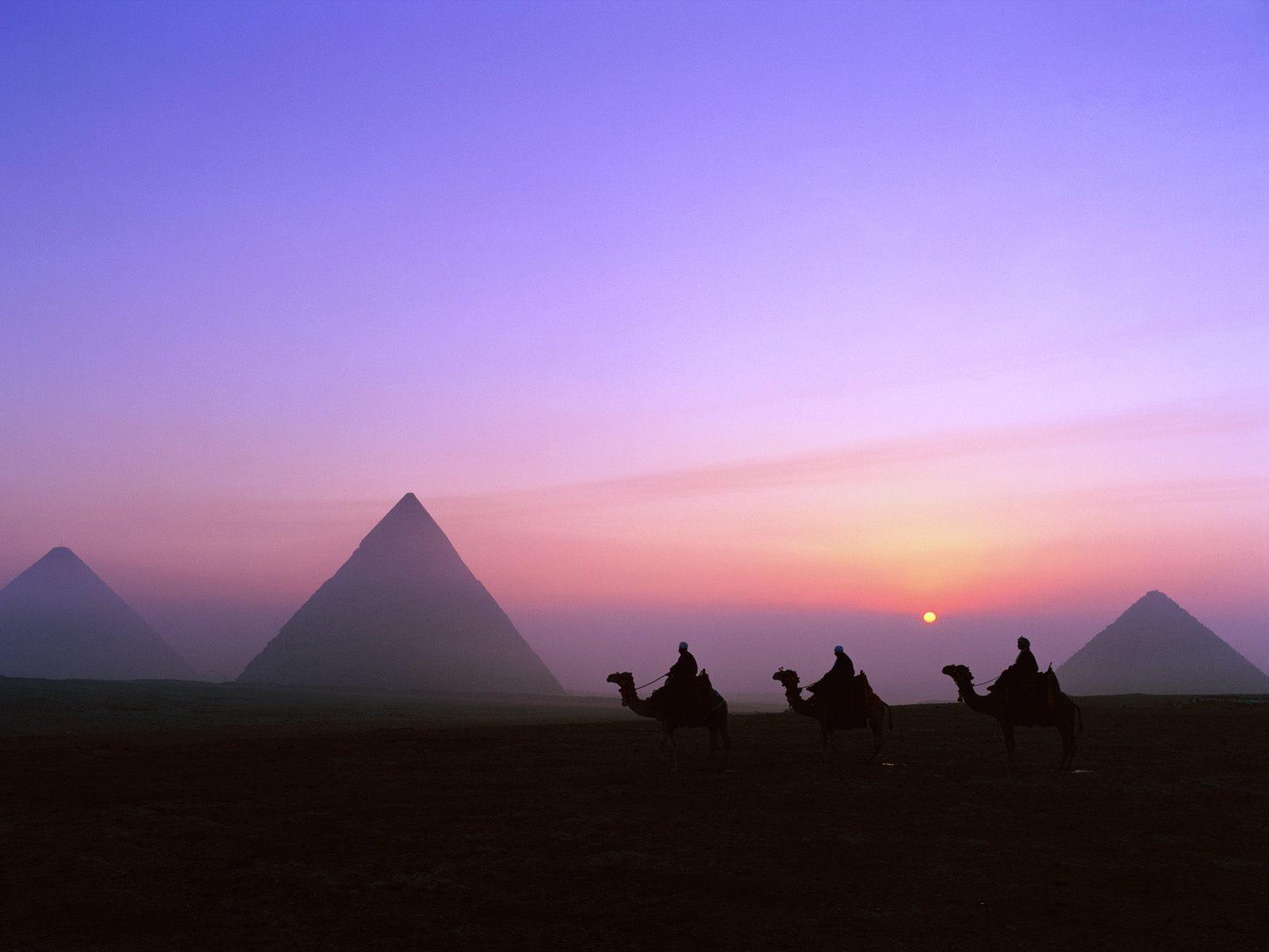 Sun, Egypt, camels, pyramids, Great Pyramid of Giza :: Wallpapers