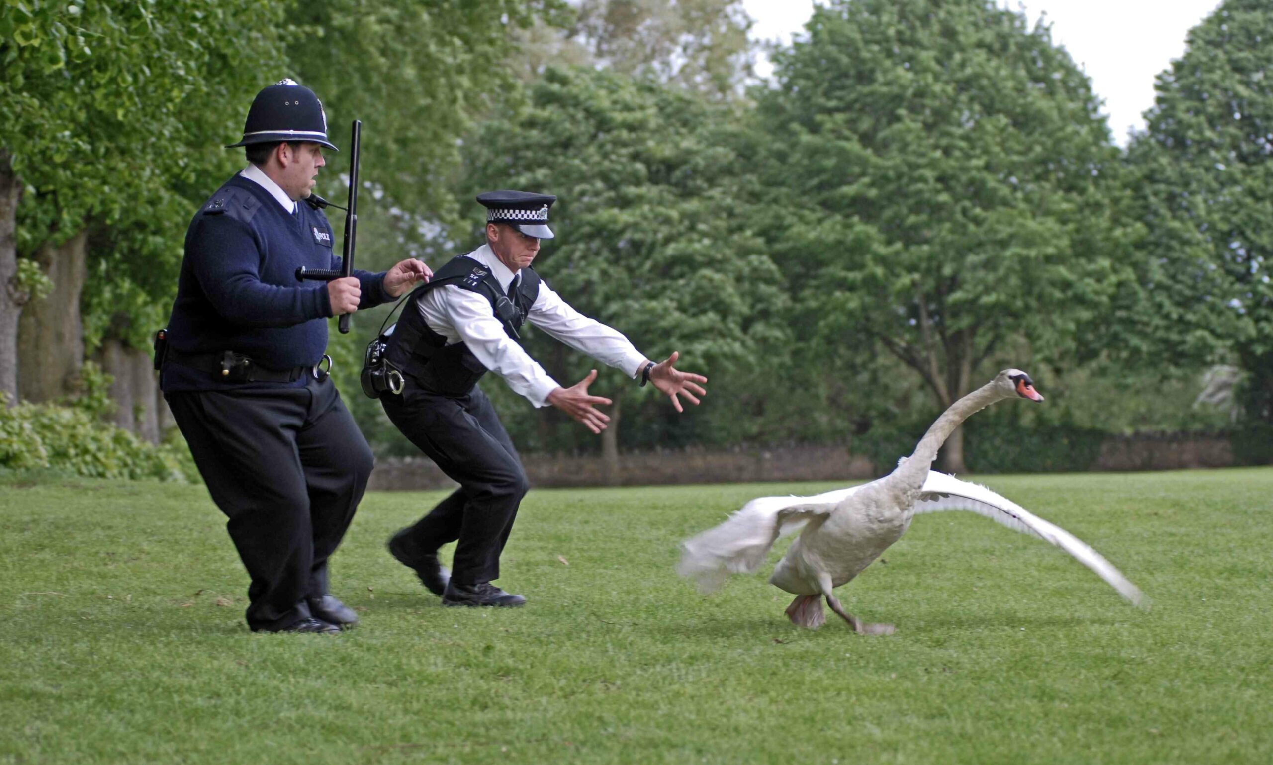 Hot fuzz [] : wallpapers