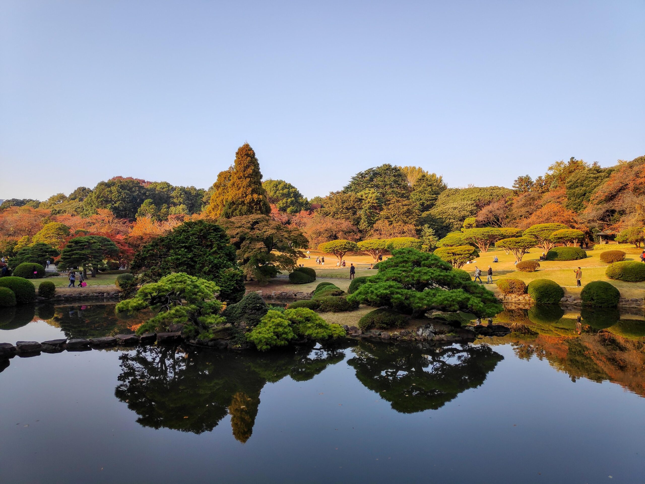 Shinjuku Gyoen National Garden : pic