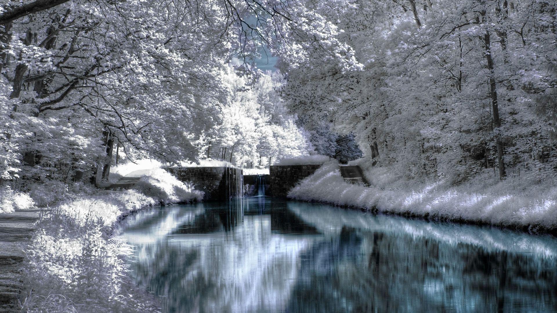 30 Best Collection of Winter Wallpapers