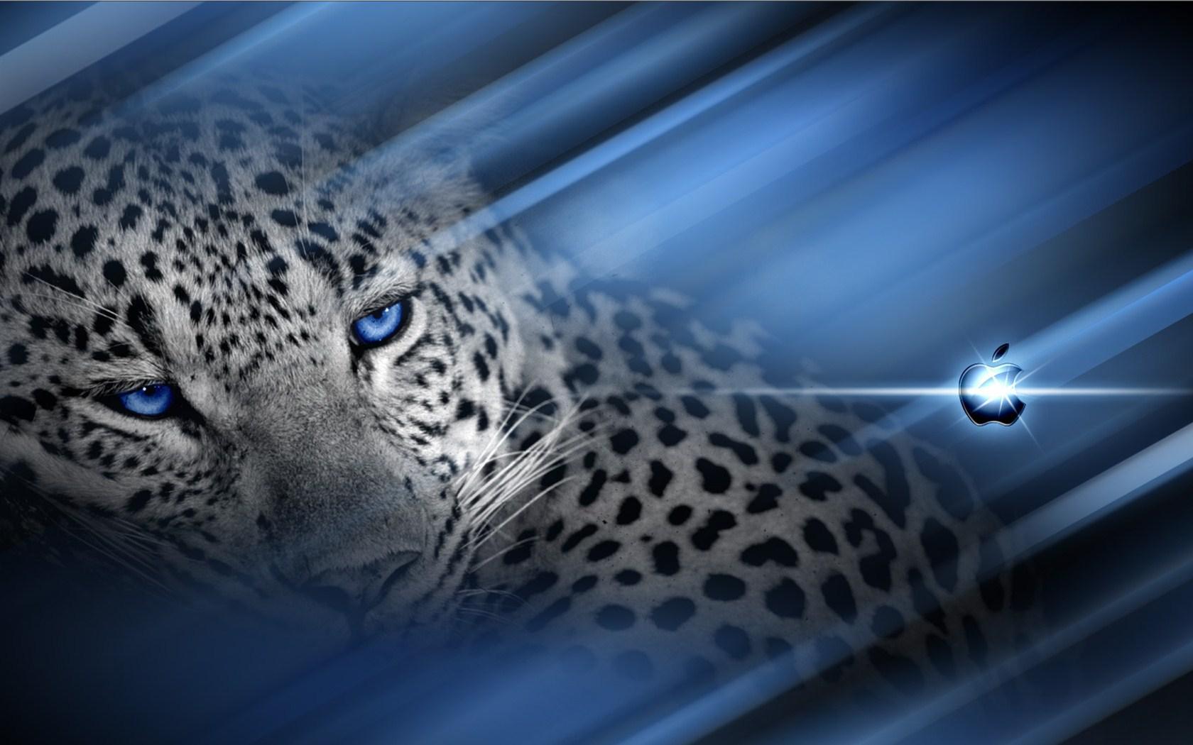 Cheetah MACOS wallpapers taken from Cheetah Print Wallpapers