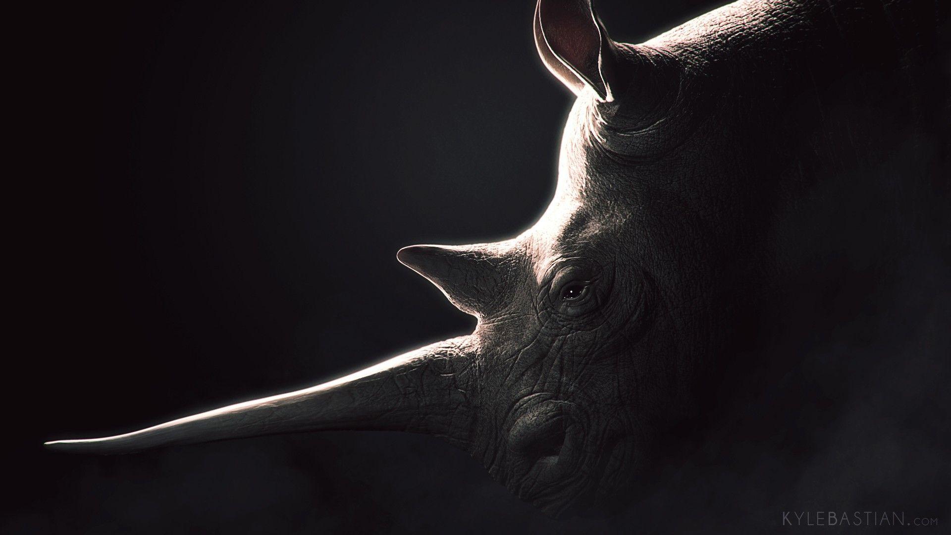 5090 Rhinoceros, black backgrounds Wallpapers download