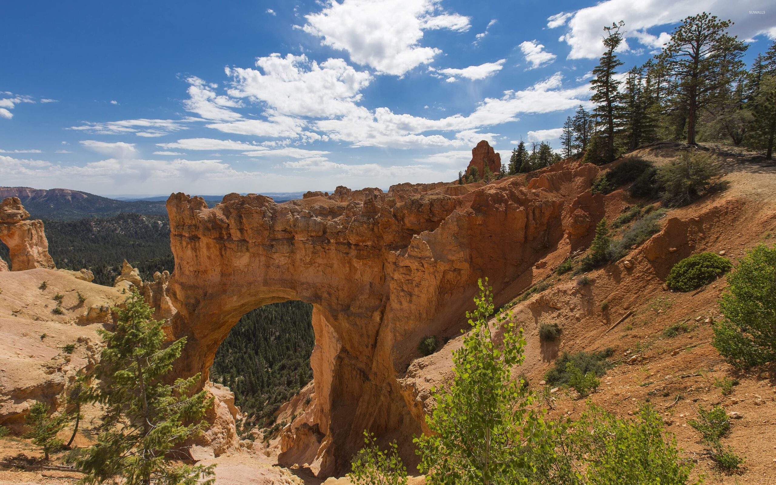 Rocky bridge in Bryce Canyon National Park wallpapers