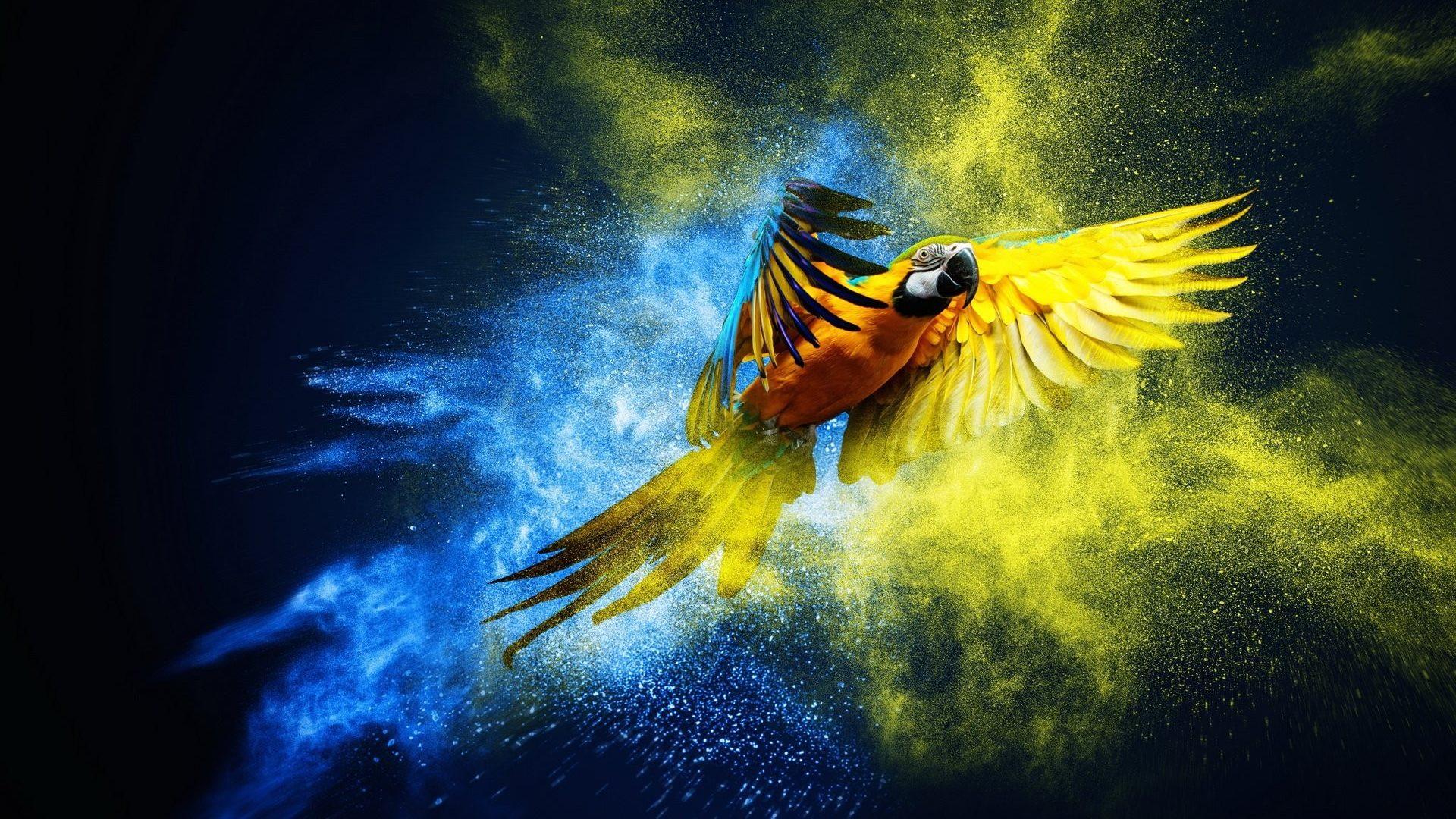 Birds: Macaw Artwork Parrot Wallpapers Of Birds With Flowers for HD