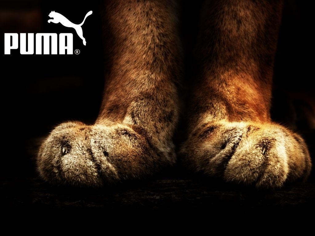 32 Fantastic Puma Wallpapers For Iphone