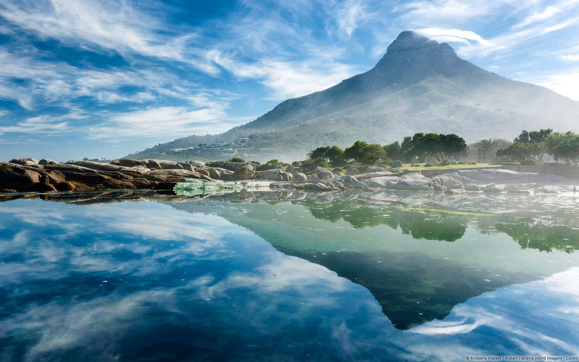 Cape Town South Africa lion head