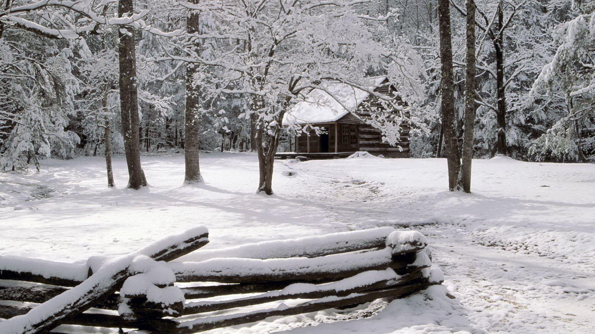 Carter Shields Cabin, Great Smoky Mountains National Park