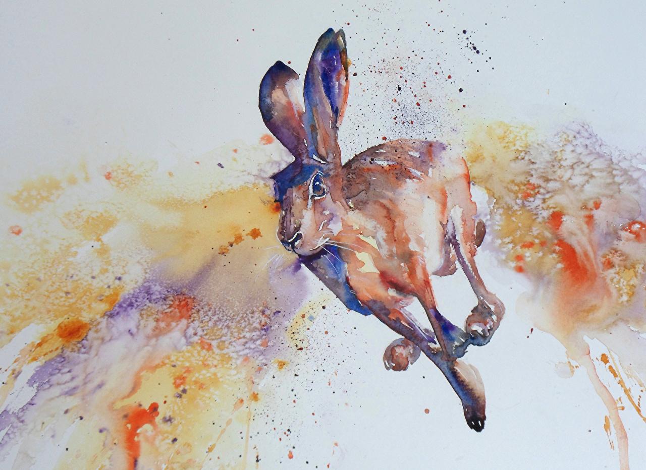 Desktop Wallpapers Hares Run Pictorial art animal Painting Art