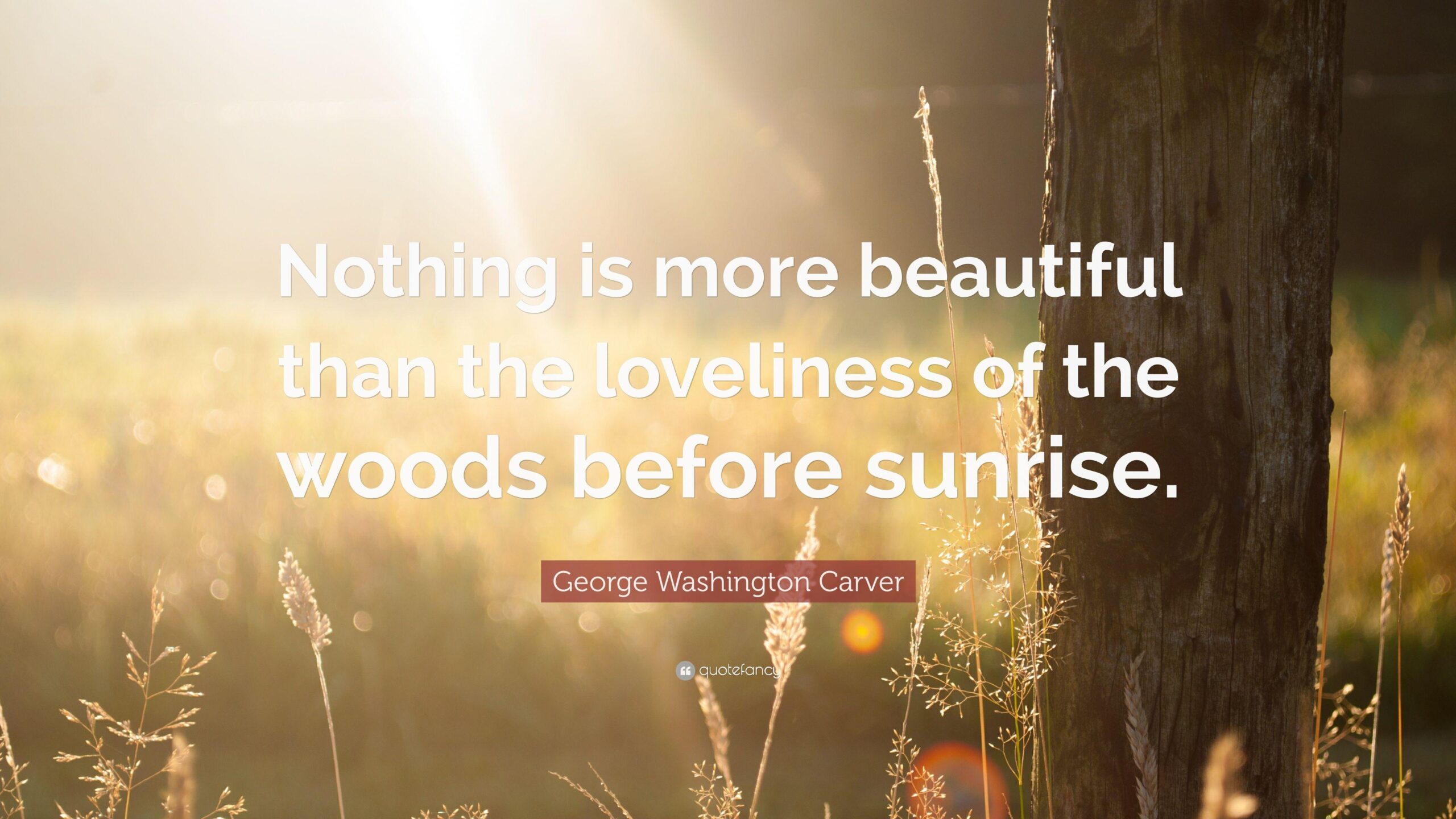 George Washington Carver Quote: “Nothing is more beautiful than