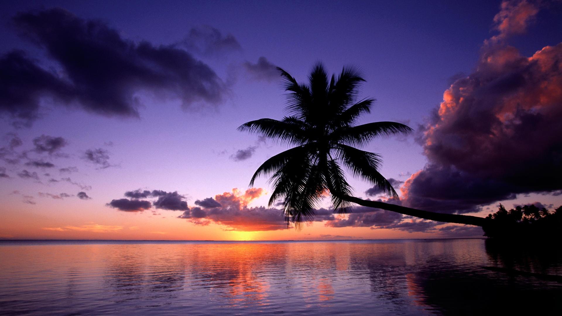 Purple Sunset in French Polynesia Wallpapers